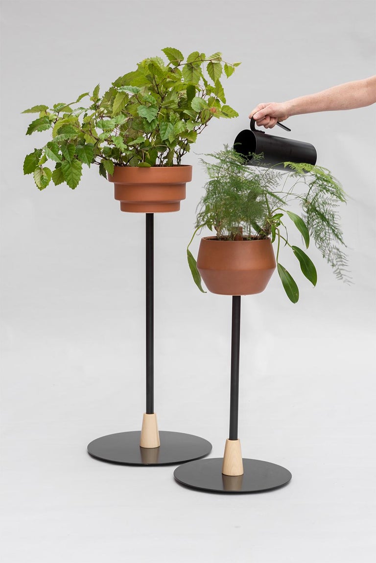 The perfect product to give life to a space! Medium metal pedestal with one planter. Costumers can select between 3 different planters that come in 2 colors (black or terracotta). The planter includes an internal ceramic plate so that extra water