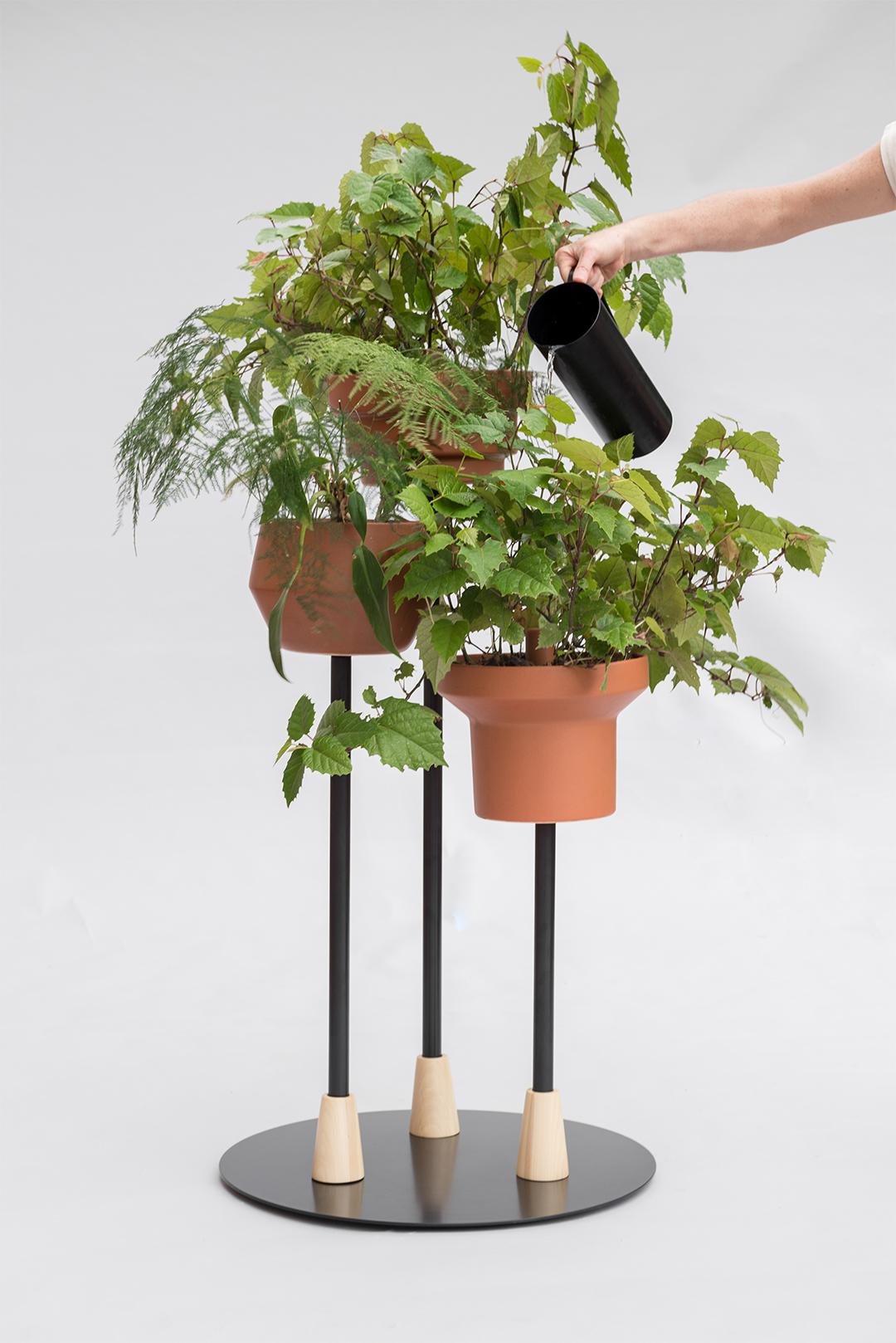 Modern Trinum Pedestal Multi Planter, Contemporary Mexican Design