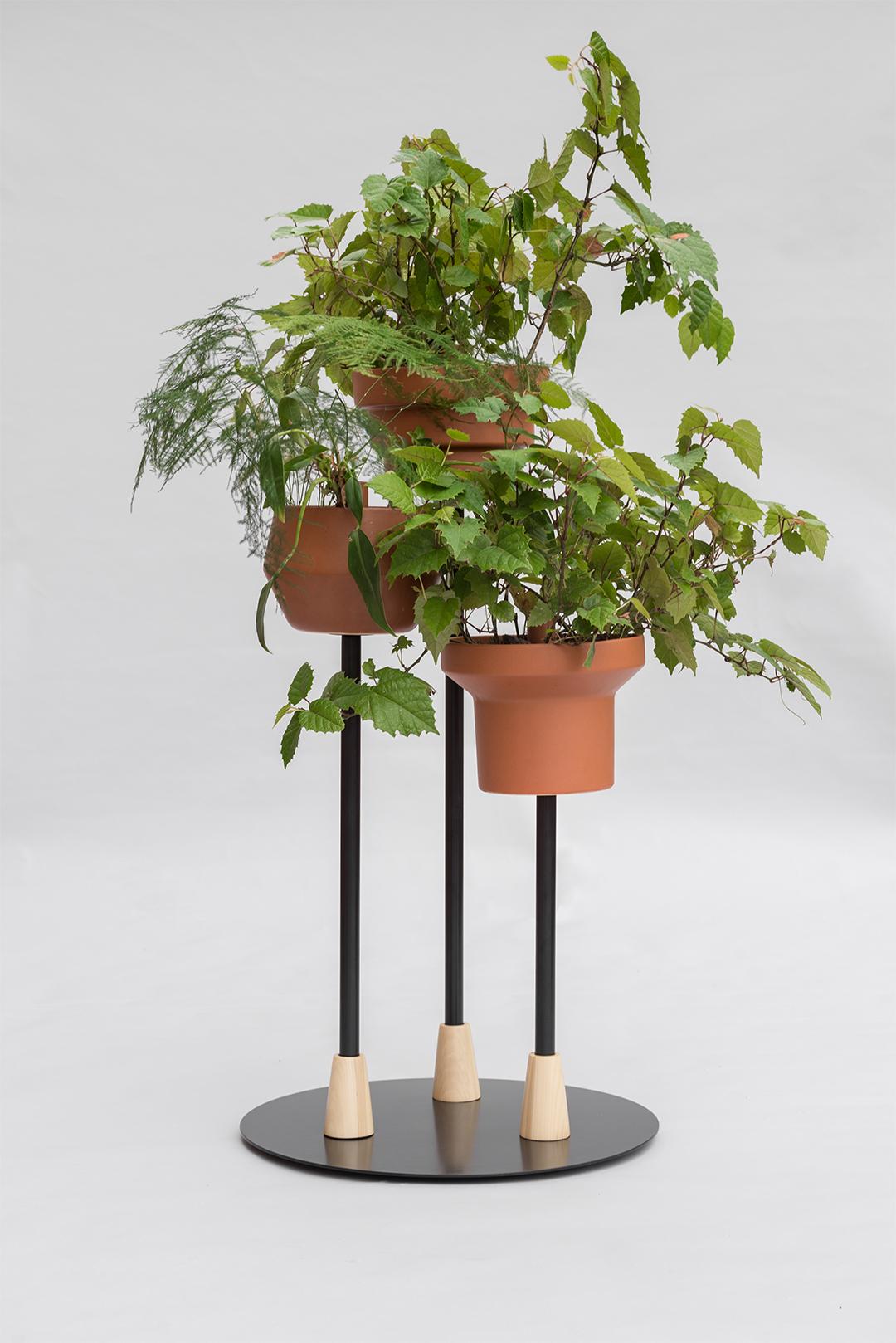 Glazed Trinum Pedestal Multi Planter, Contemporary Mexican Design