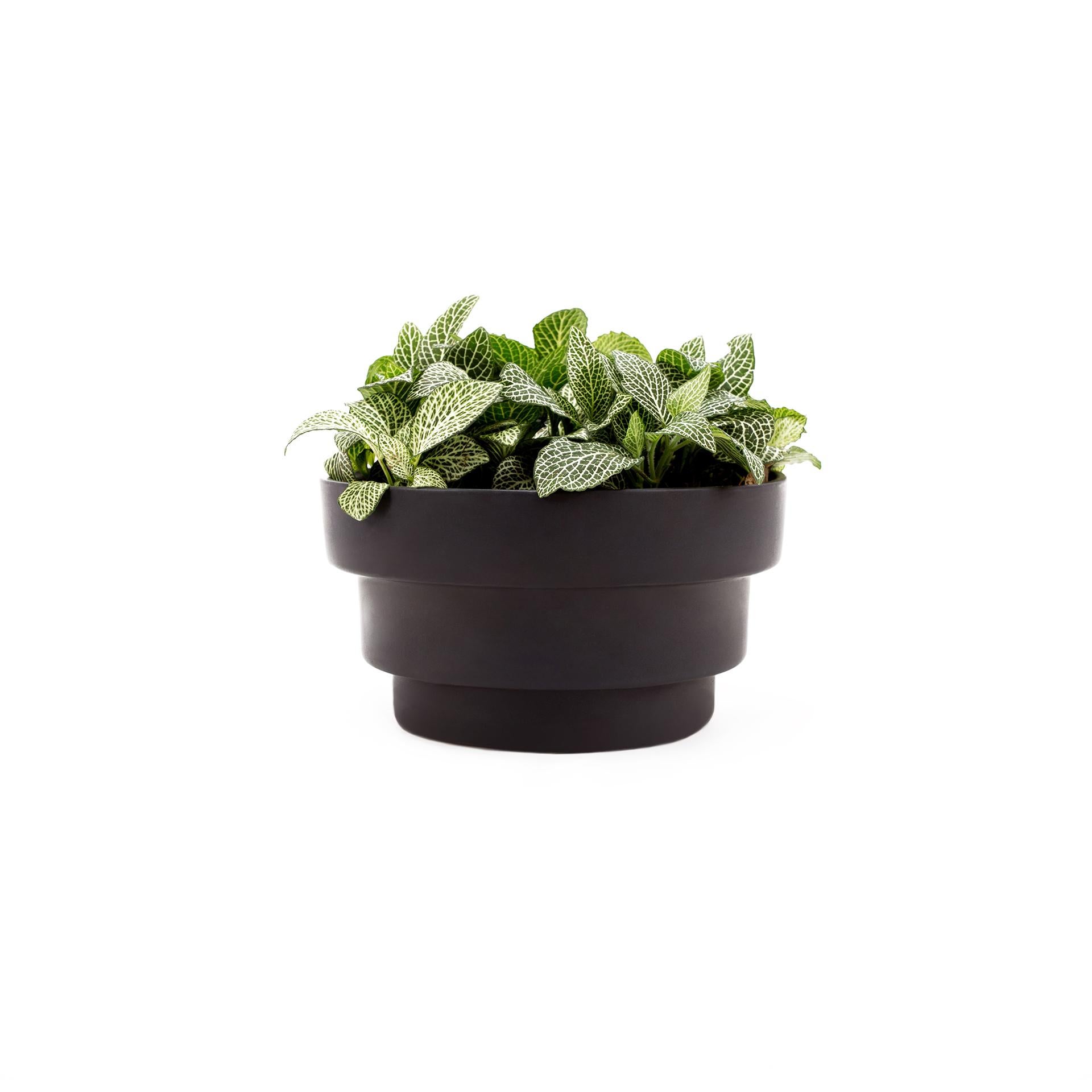 This piramyd shaped planter come in 2 different colors (black and terracotta) and can be used in 3 different ways, as a stand, on top of a counter or table, and suspended by a cotton chord. The use depends on how the user interacts with the space