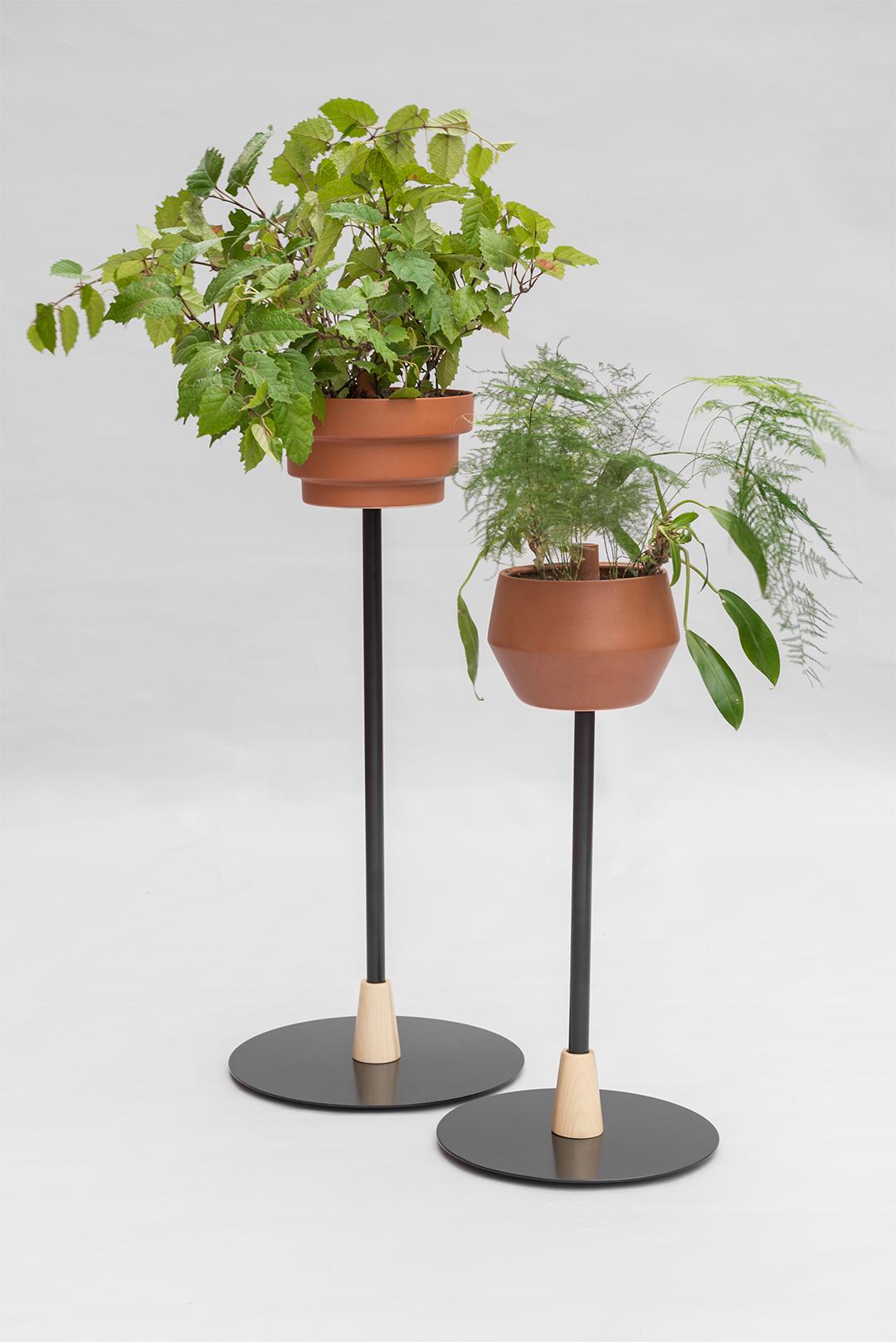 The perfect product to give life to your space! This small metal pedestal with one planter. Costumers can select between 3 different shapes of planters (diamond, tube or pyramid)  that come in 2 different color options (black or terracotta). The