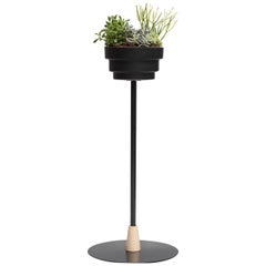 Trinum Small Pedestal with Ceramic Planters, Contemporary Mexican Design Small