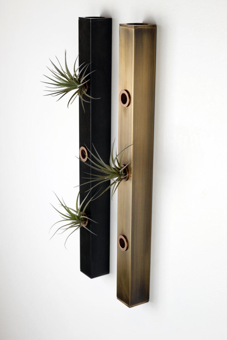Minimalist Trio Air Plant Holder, Hanging Air Planter in Naval Brass, Limited Release
