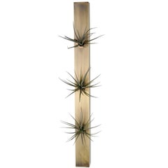 Trio Air Plant Holder, Hanging Air Planter in Naval Brass, Limited Release