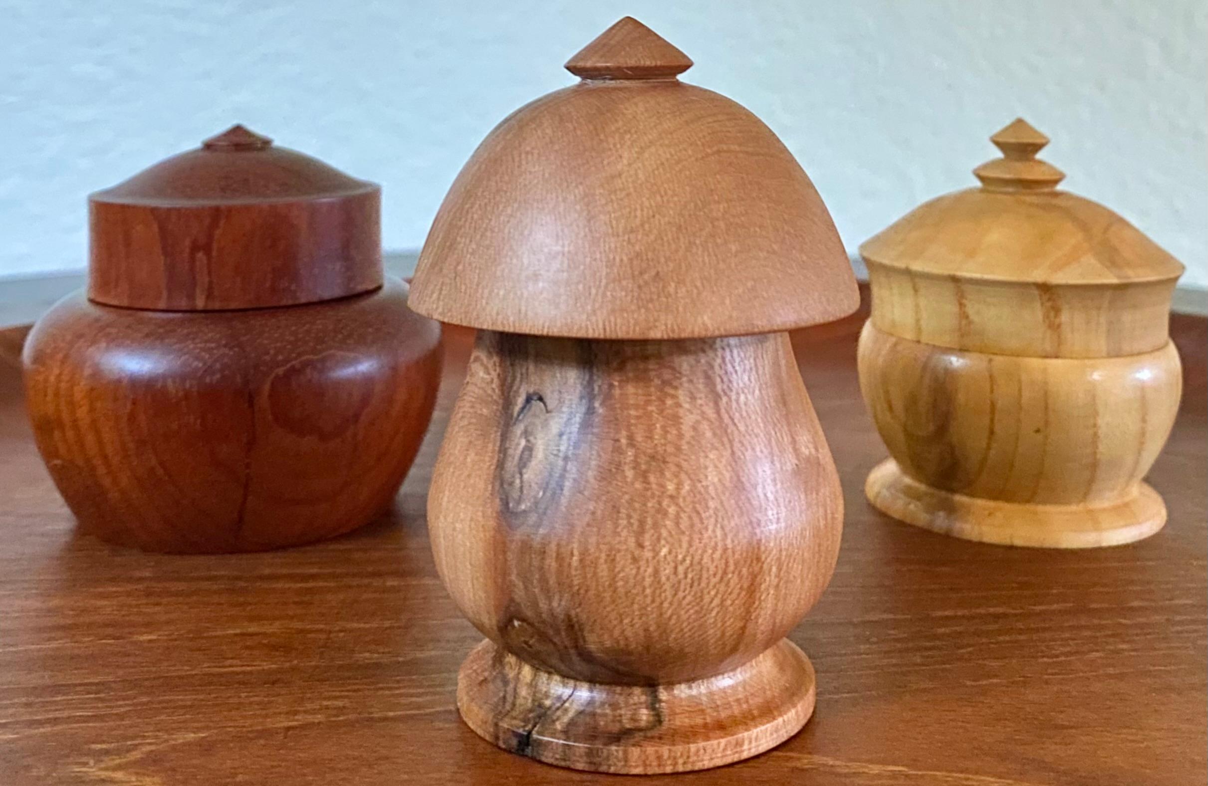 Trio of Exotic Hardwood Turned Minimalist Sculptural Vessels For Sale 6