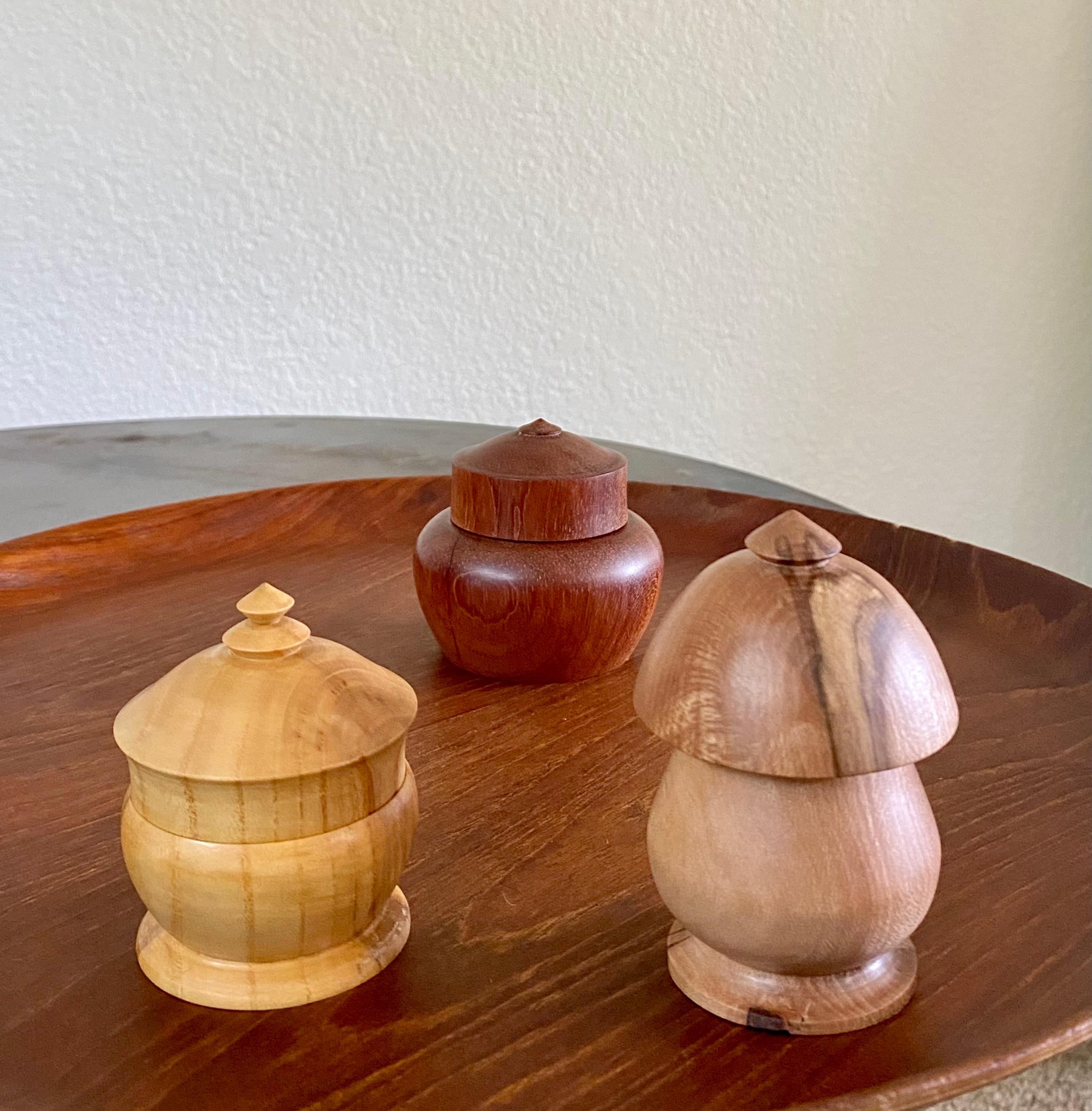 Trio of Exotic Hardwood Turned Minimalist Sculptural Vessels For Sale 3