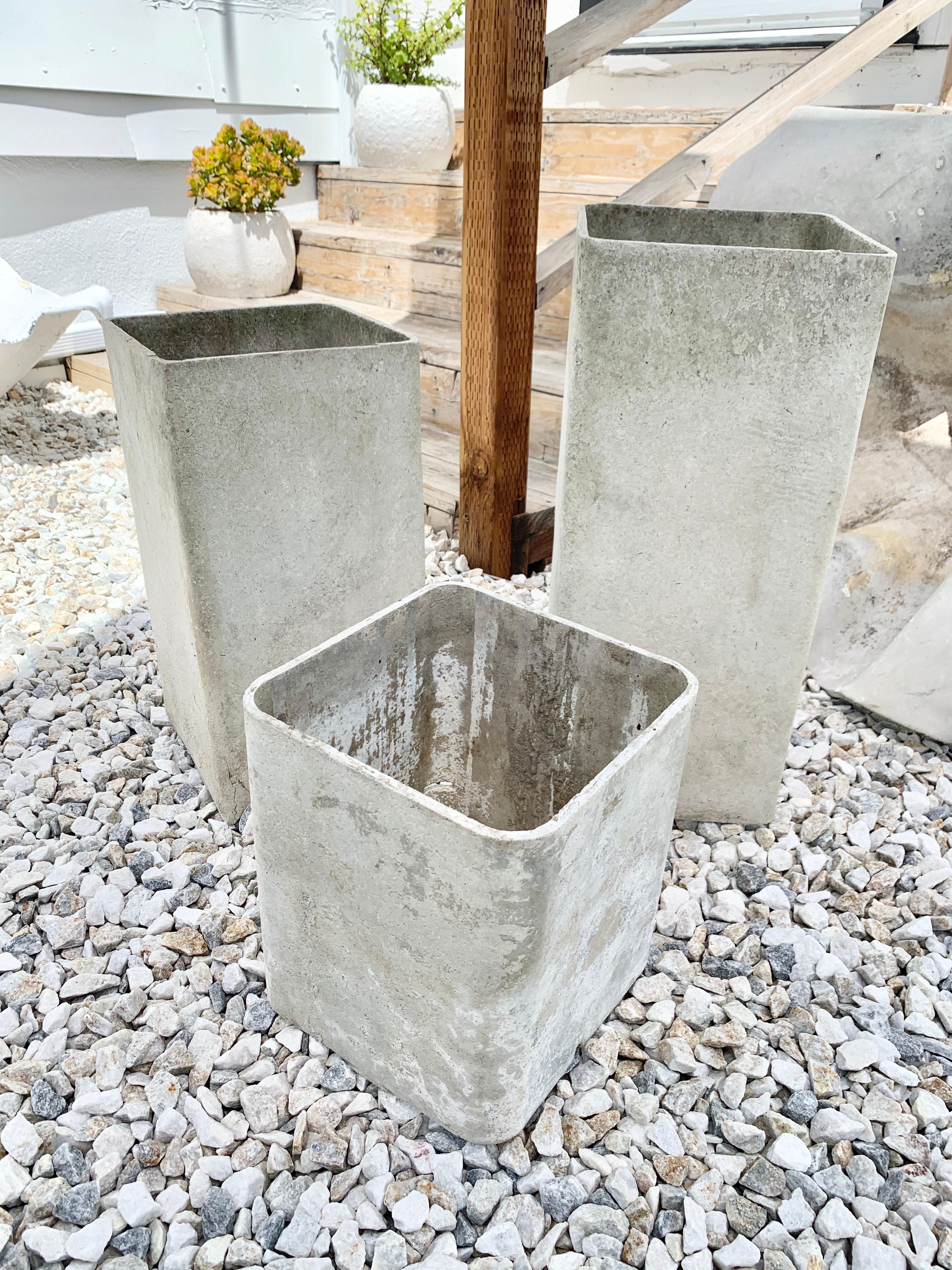 Concrete Trio of Hollow Rectangular Planters by Willy Guhl