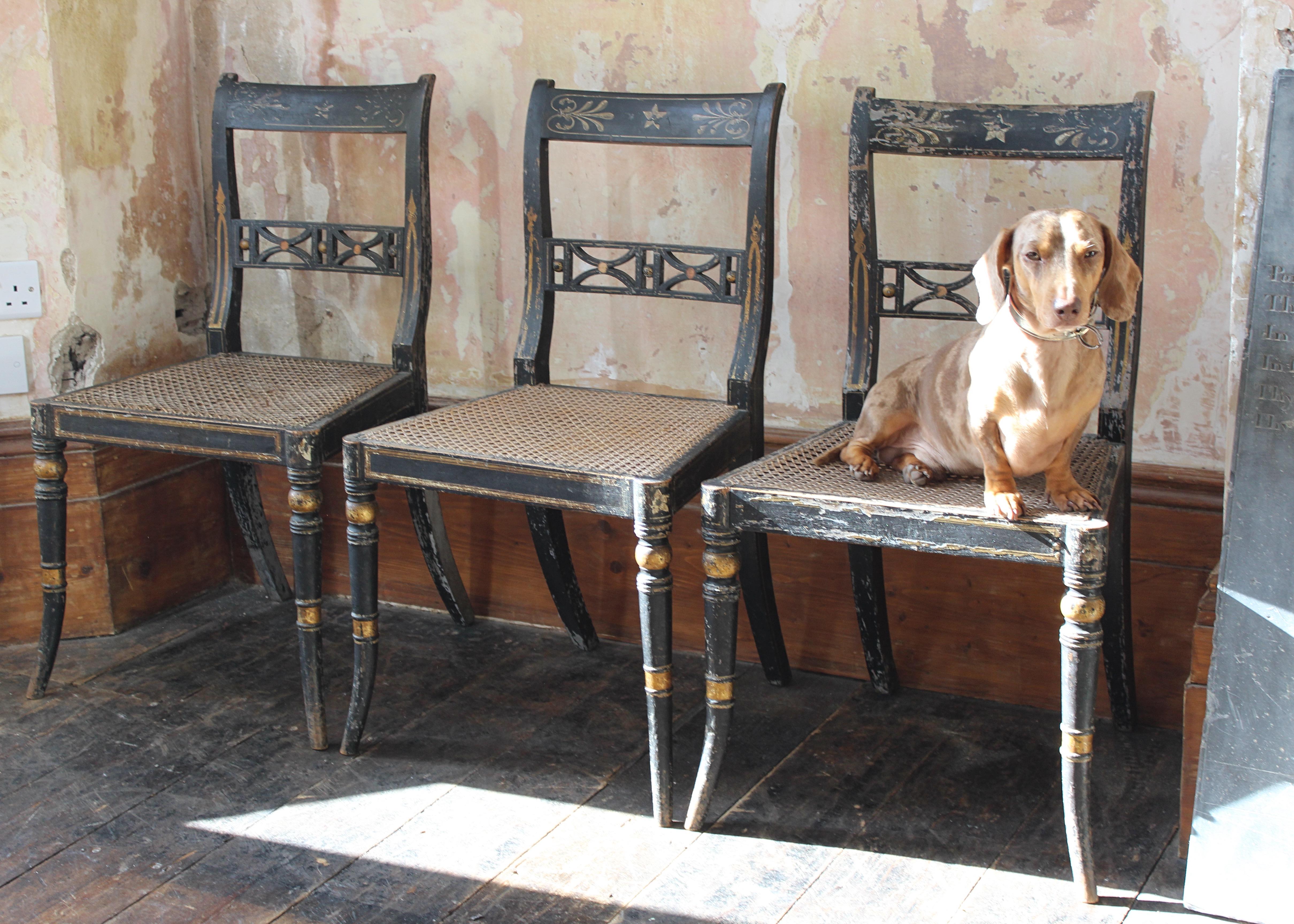Trio of Regency Ebonised Hand Painted Gilt & Cane Distressed Occasional Chairs  For Sale 13
