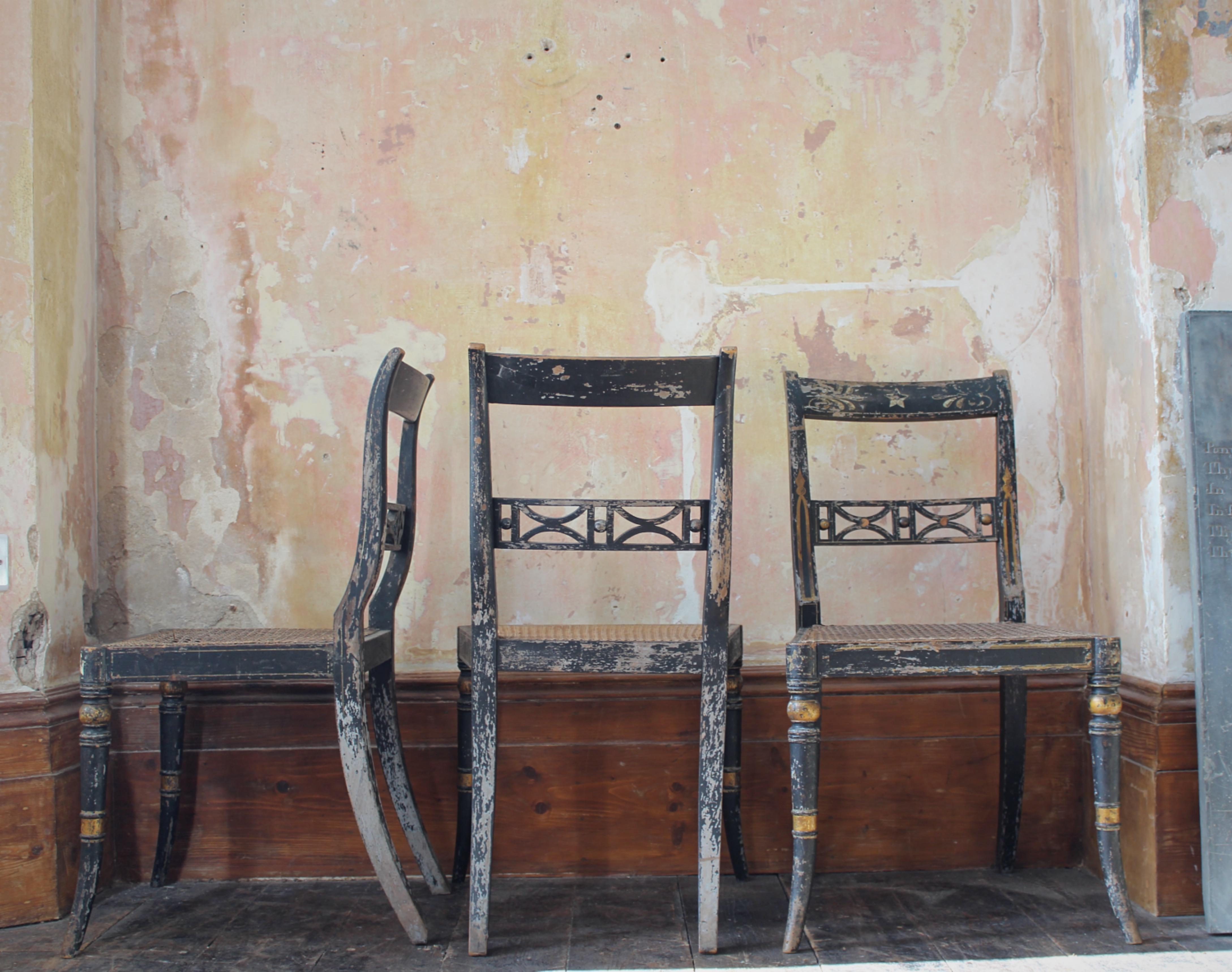 Trio of Regency Ebonised Hand Painted Gilt & Cane Distressed Occasional Chairs  For Sale 14