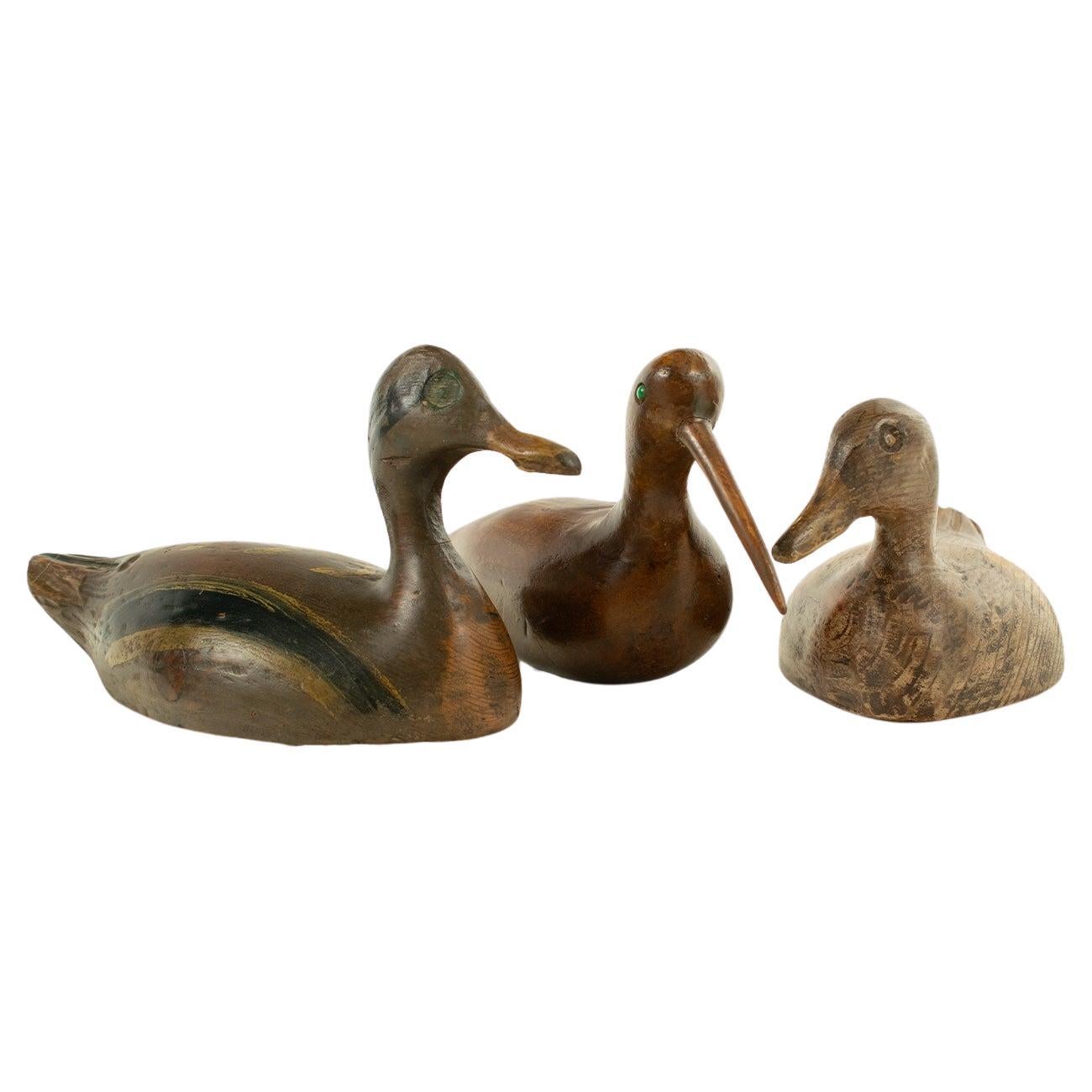 Trio de deux canards et un curlew - anciens décors en bois sculptés et peints en vente