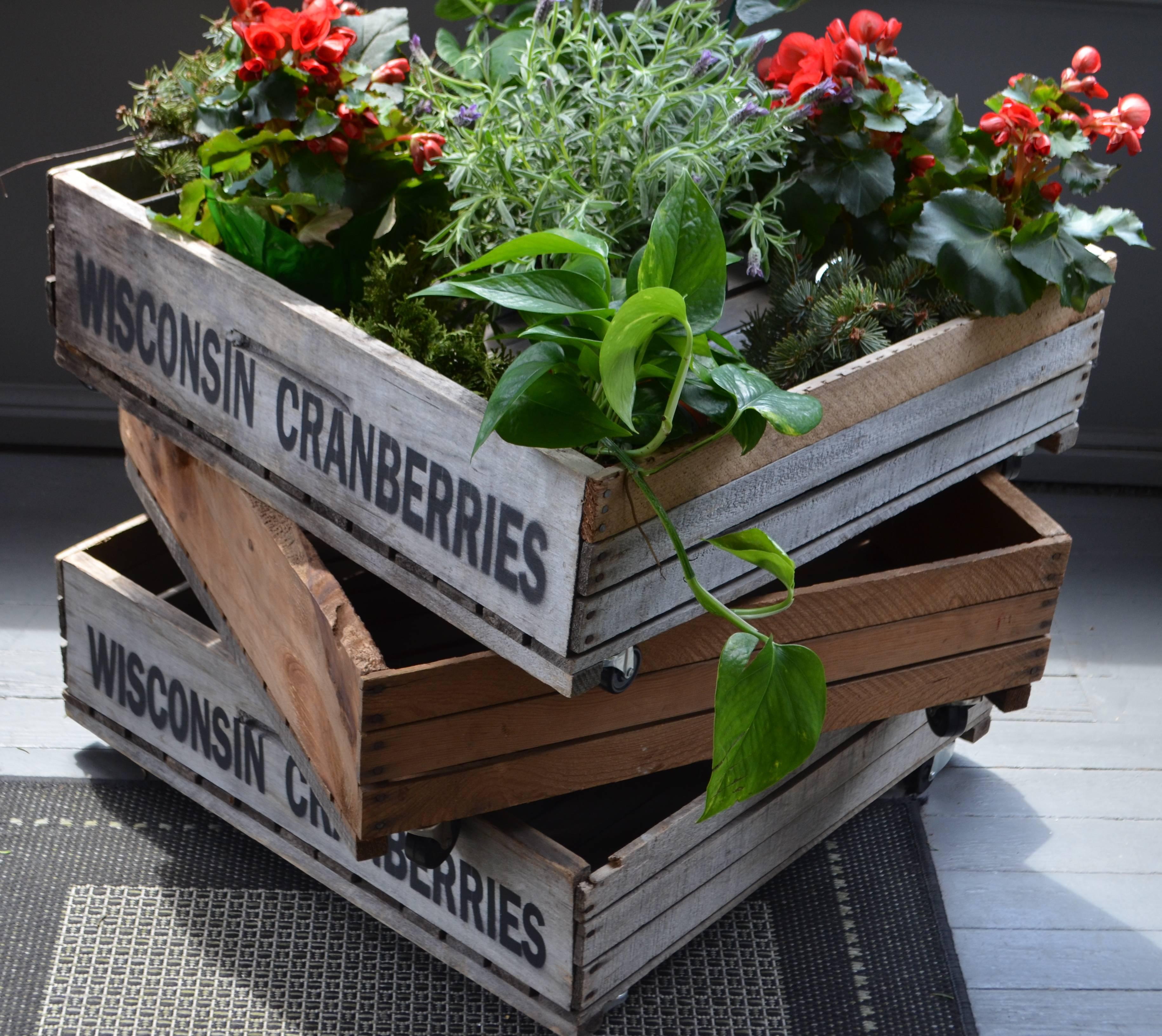 Trio of Wood Wisconsin Cranberry Storage Planter Wheeled Crates For Sale 8