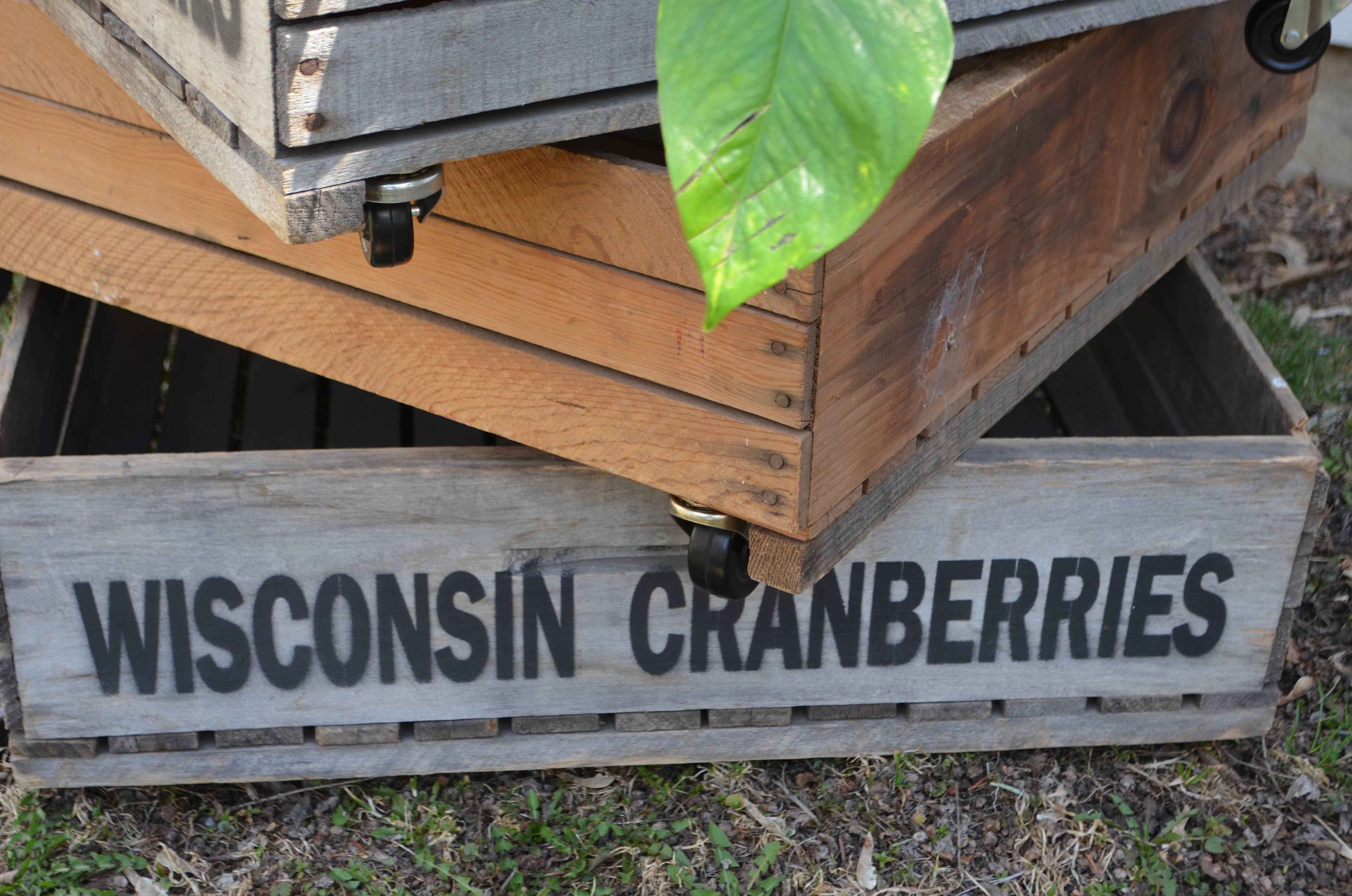 Primitive Trio of Wood Wisconsin Cranberry Storage Planter Wheeled Crates For Sale