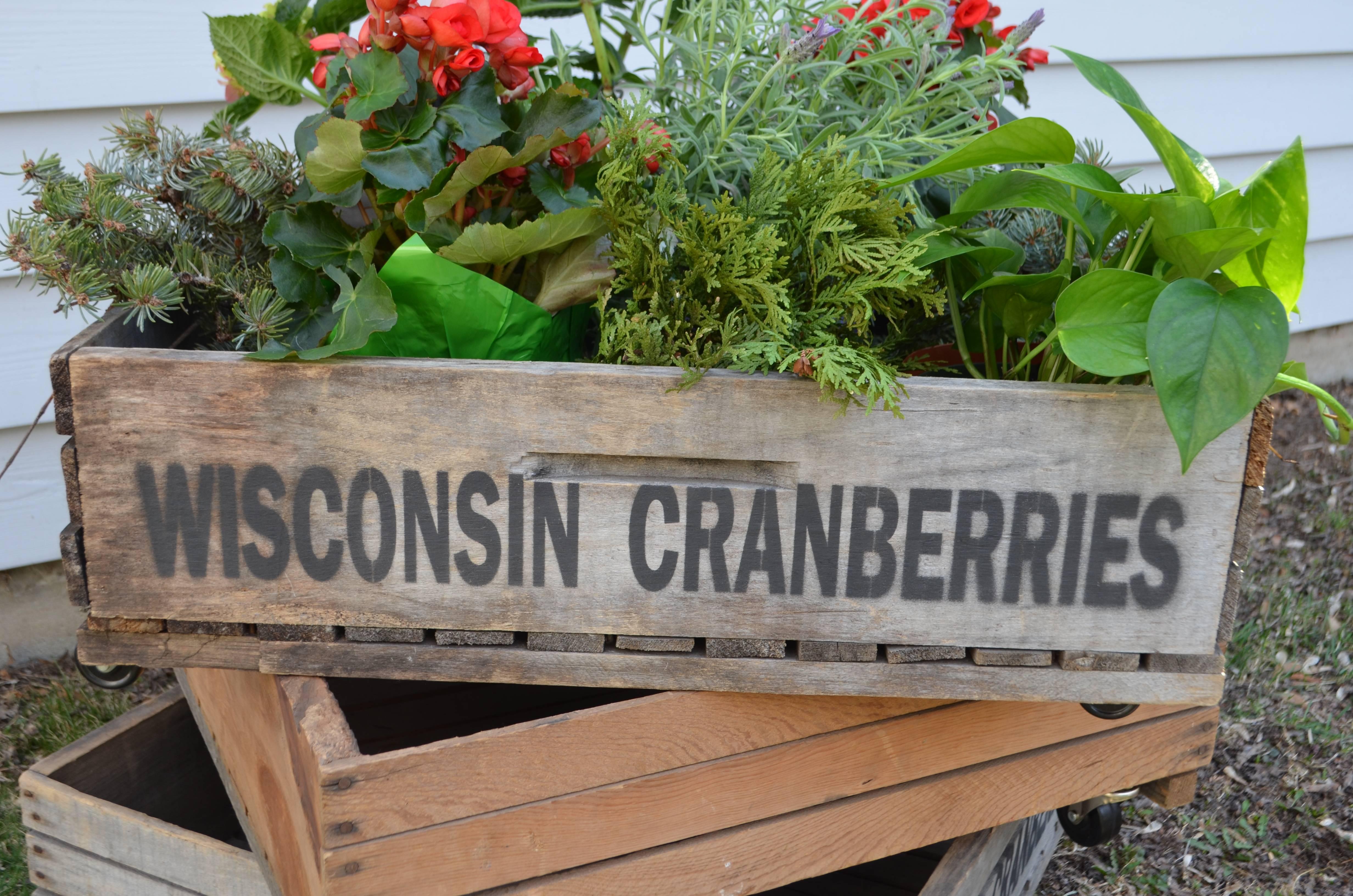 American Trio of Wood Wisconsin Cranberry Storage Planter Wheeled Crates For Sale