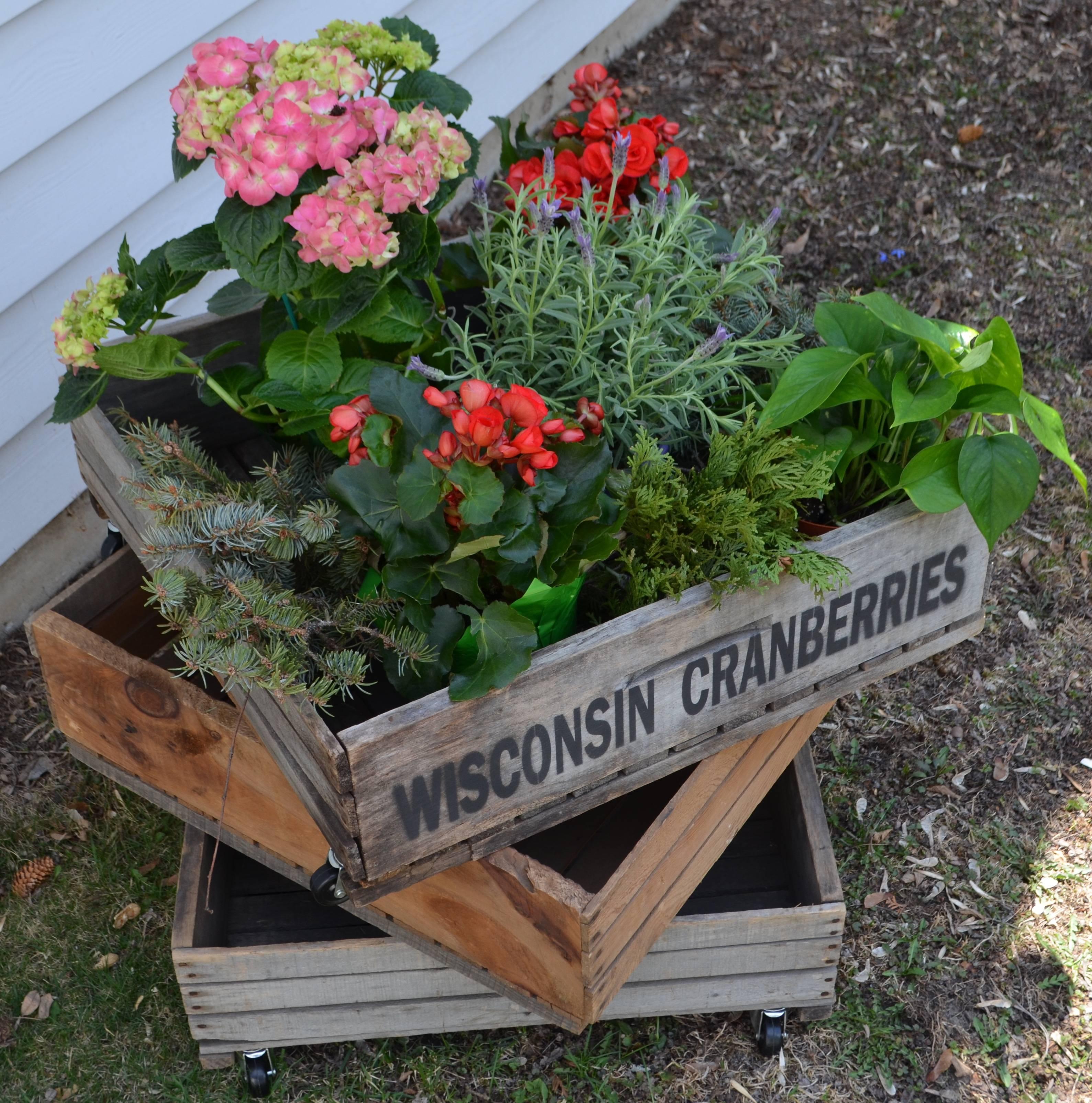Trio of Wood Wisconsin Cranberry Storage Planter Wheeled Crates In Good Condition For Sale In Madison, WI