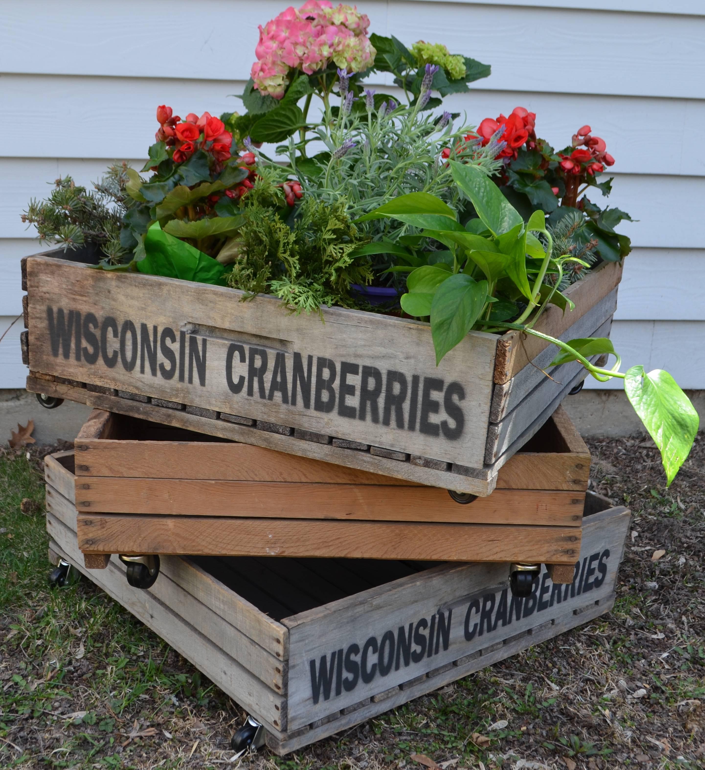 Mid-20th Century Trio of Wood Wisconsin Cranberry Storage Planter Wheeled Crates For Sale