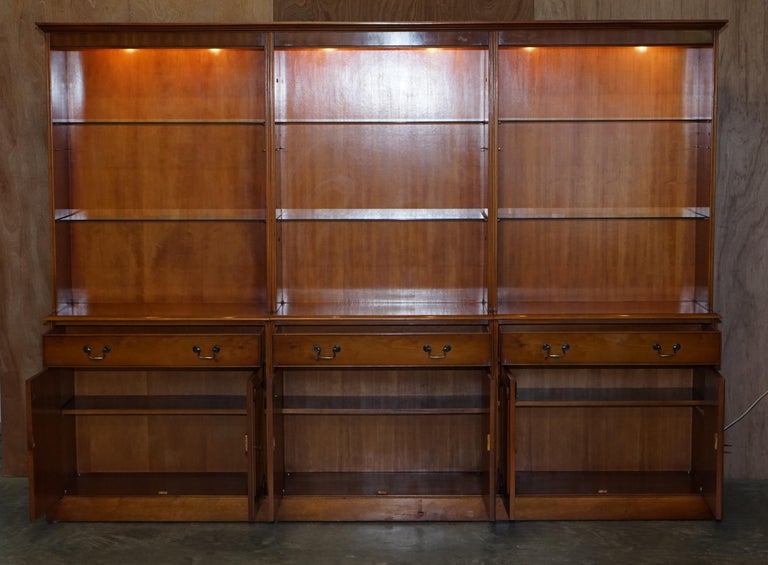 Triple Bank Bradley Furniture Burr Yew Wood Library Display Bookcase with Lights For Sale 3