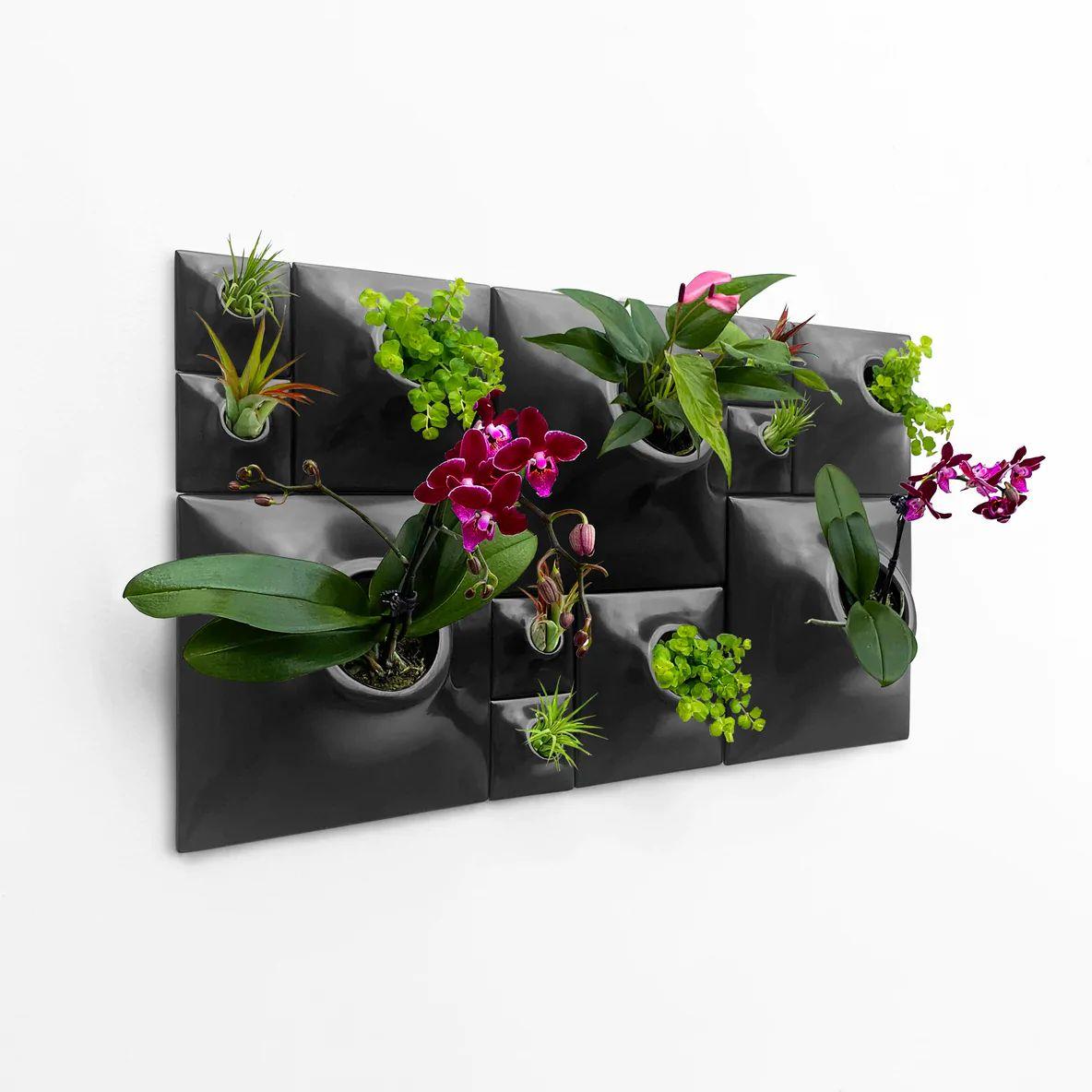 Modern Black Greenwall, Mid Century Modern Wall Decor, Moss Wall Art, Node BS3

Transform your modern interior design into an exciting greenwall and epicenter of living wall art with this striking Node Wall Planter set. Let your eyes wander over