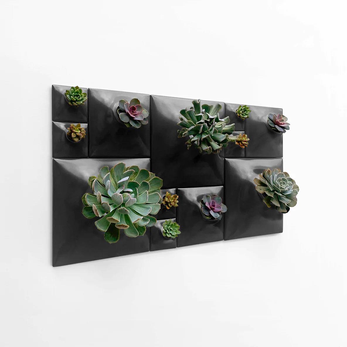 Modern Black Greenwall, Mid Century Modern Wall Decor, Moss Wall Art, Node BS3 In New Condition For Sale In Bridgeport, PA