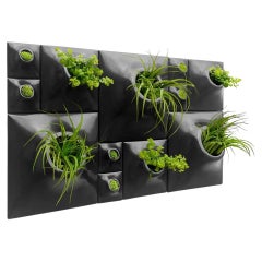 Modern Black Wall Planter Set, Greenwall, Living Wall Art, Plant Wall, Node BS3