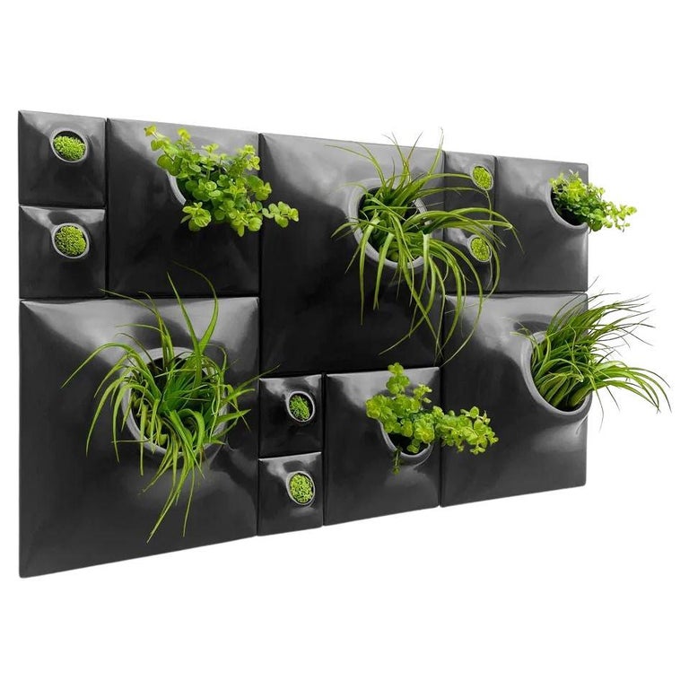 Modern Wall Planter Greenwall Plant Wall Art Living Wall Node BS3