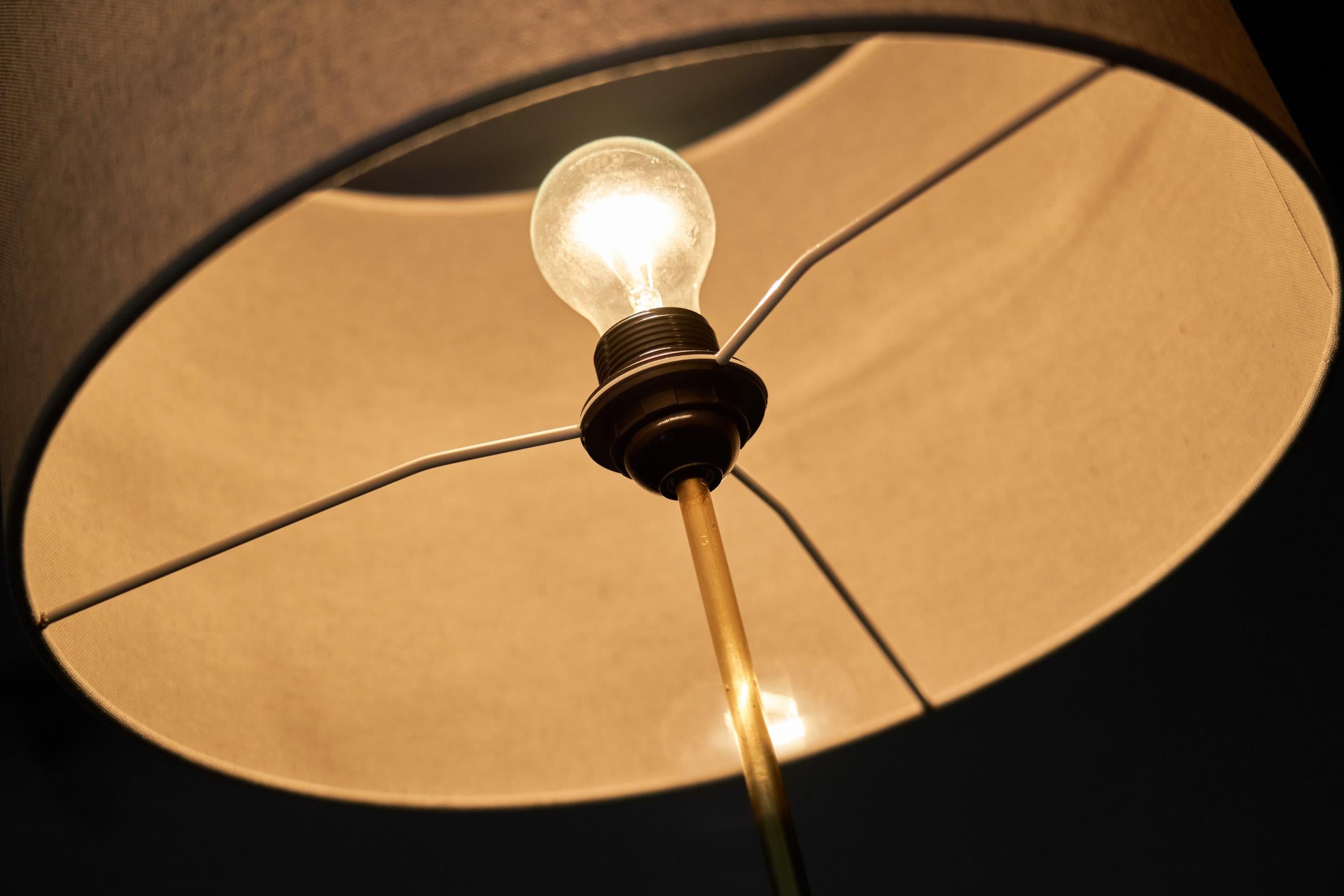 Tripod Floor Lamp in Brass and Black Lacquered Metal, Denmark Mid-20th Century For Sale 8