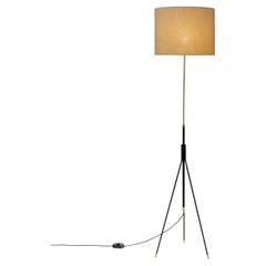 Floor Lamps