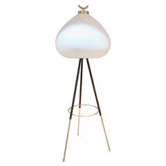 Tripod Floor Lamp in Brass and Milk Glass, Italy, 1960s