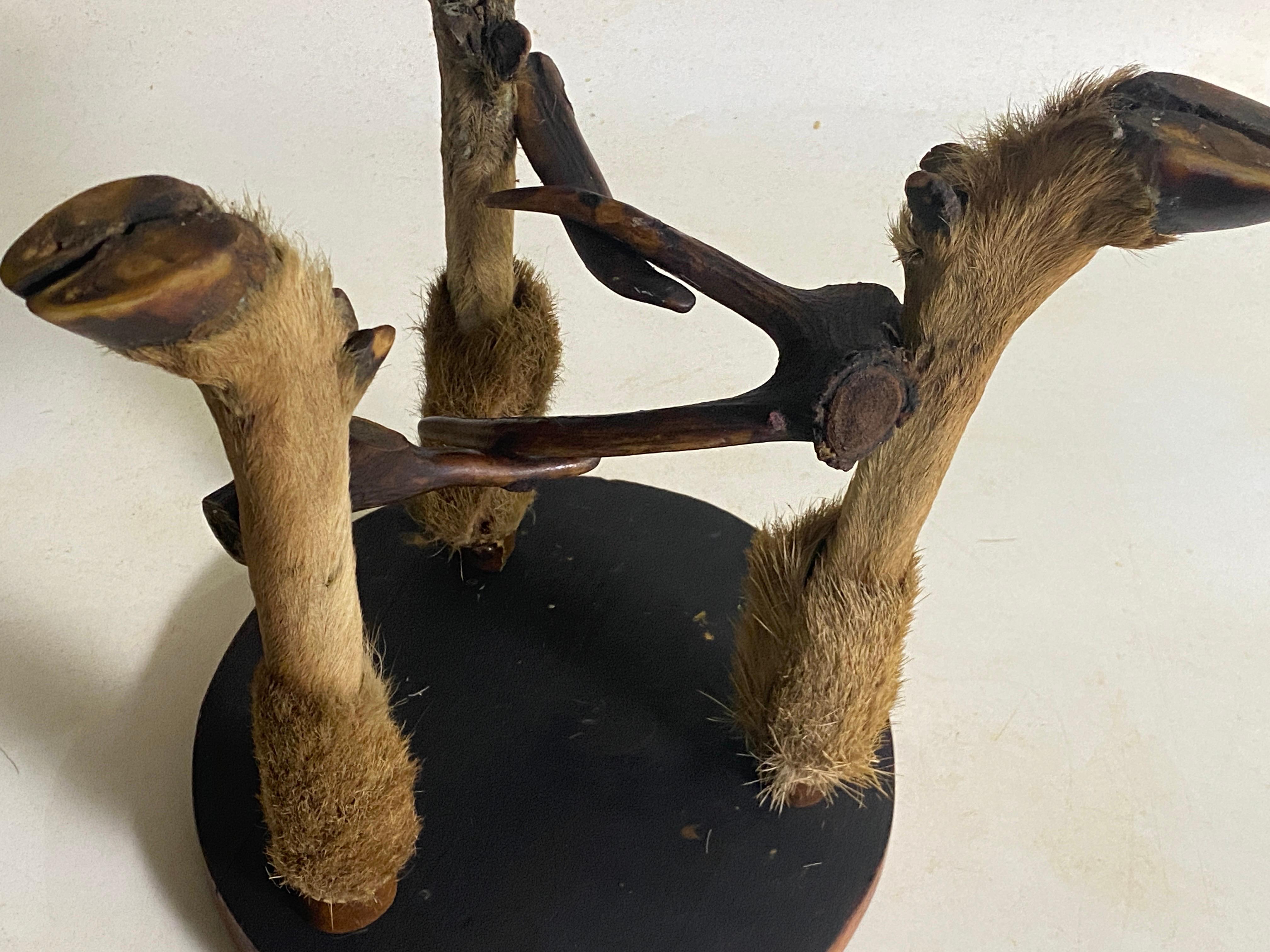 French Tripod Stool Mountain Style Horn wood France 1970 For Sale