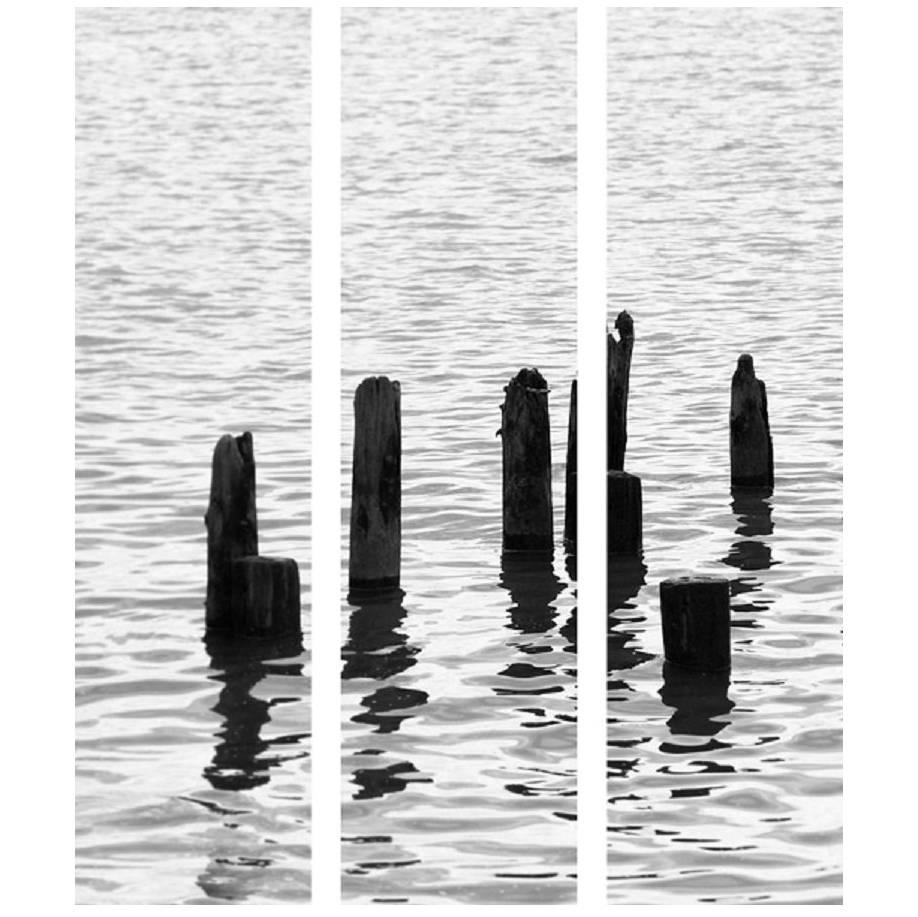 Triptych Print on Acrylic For Sale