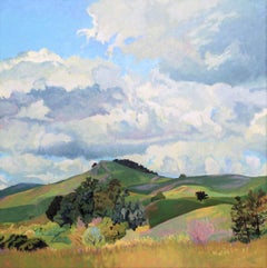 Spring in the Rolling Hills, Northern California