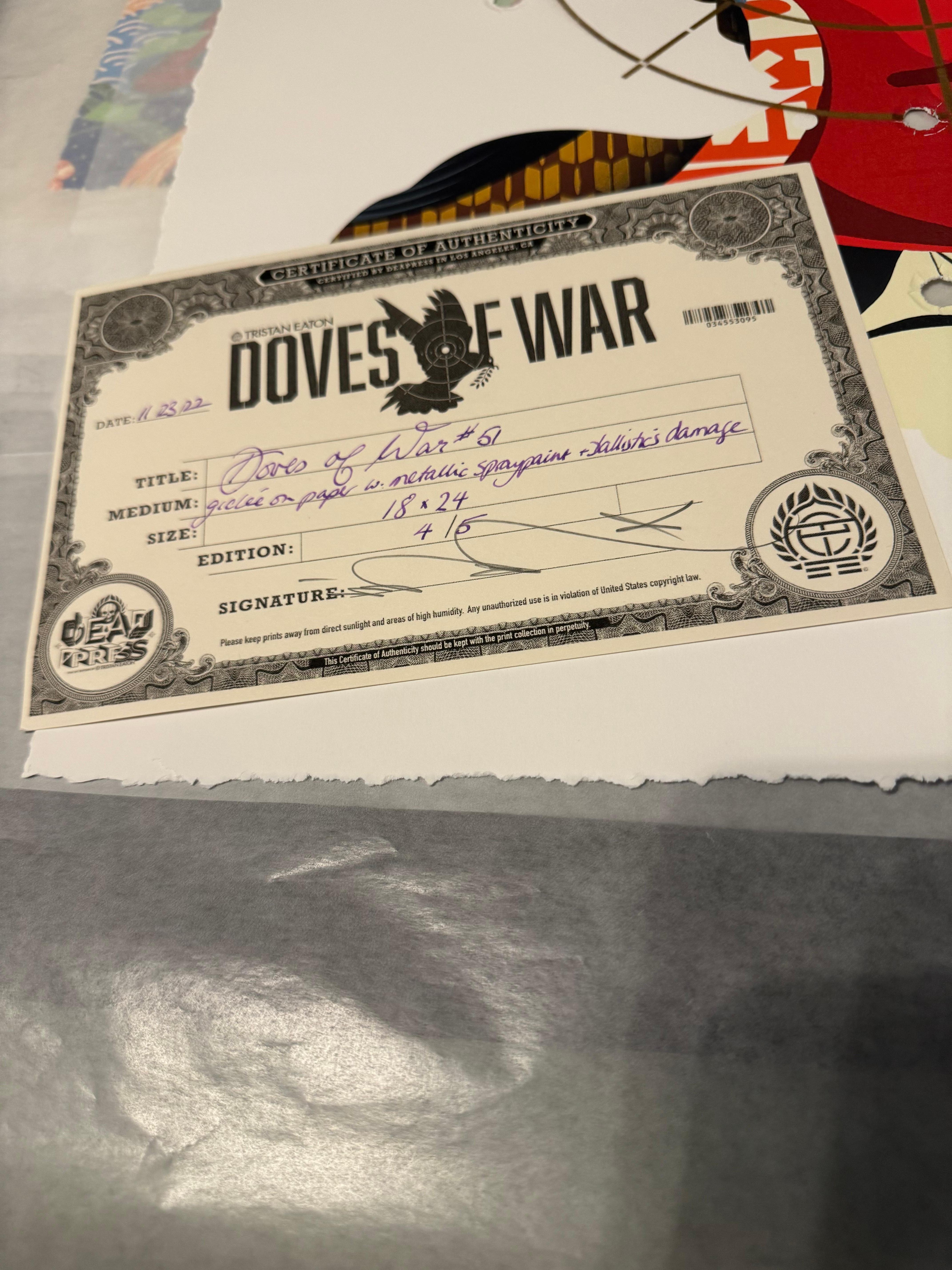 Doves of War #51 Spraypaint Embellished Screenprint Signed and Numbered For Sale 1