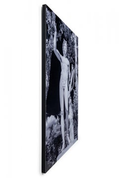 Apollo Infrared Photograph on Glossy Aluminum, Artist's Proof, 54x36