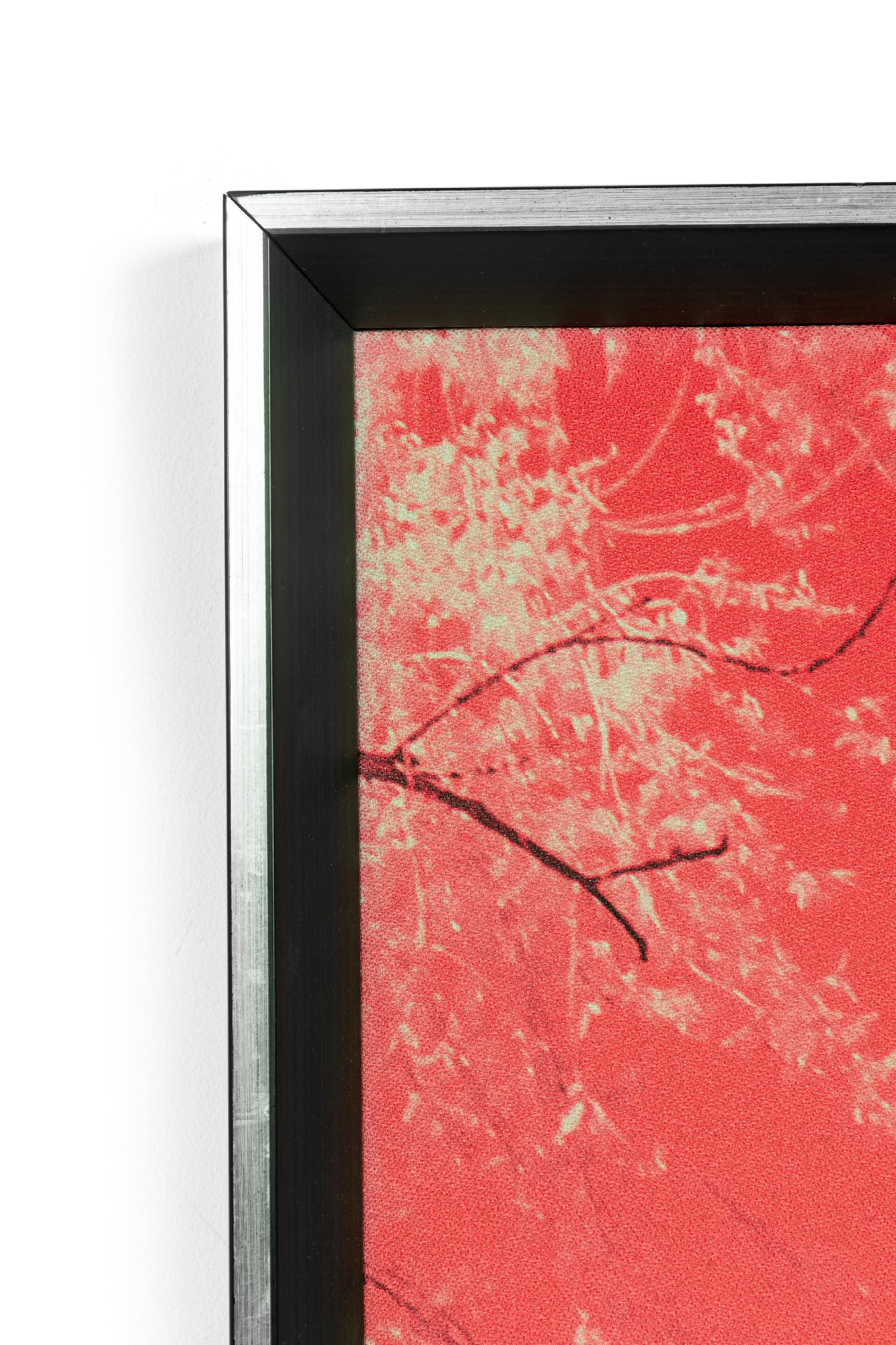 Tristan Govignon „Central Park“ Infrared-Fotografie auf gerahmtem Stoff (Moderne) im Angebot
