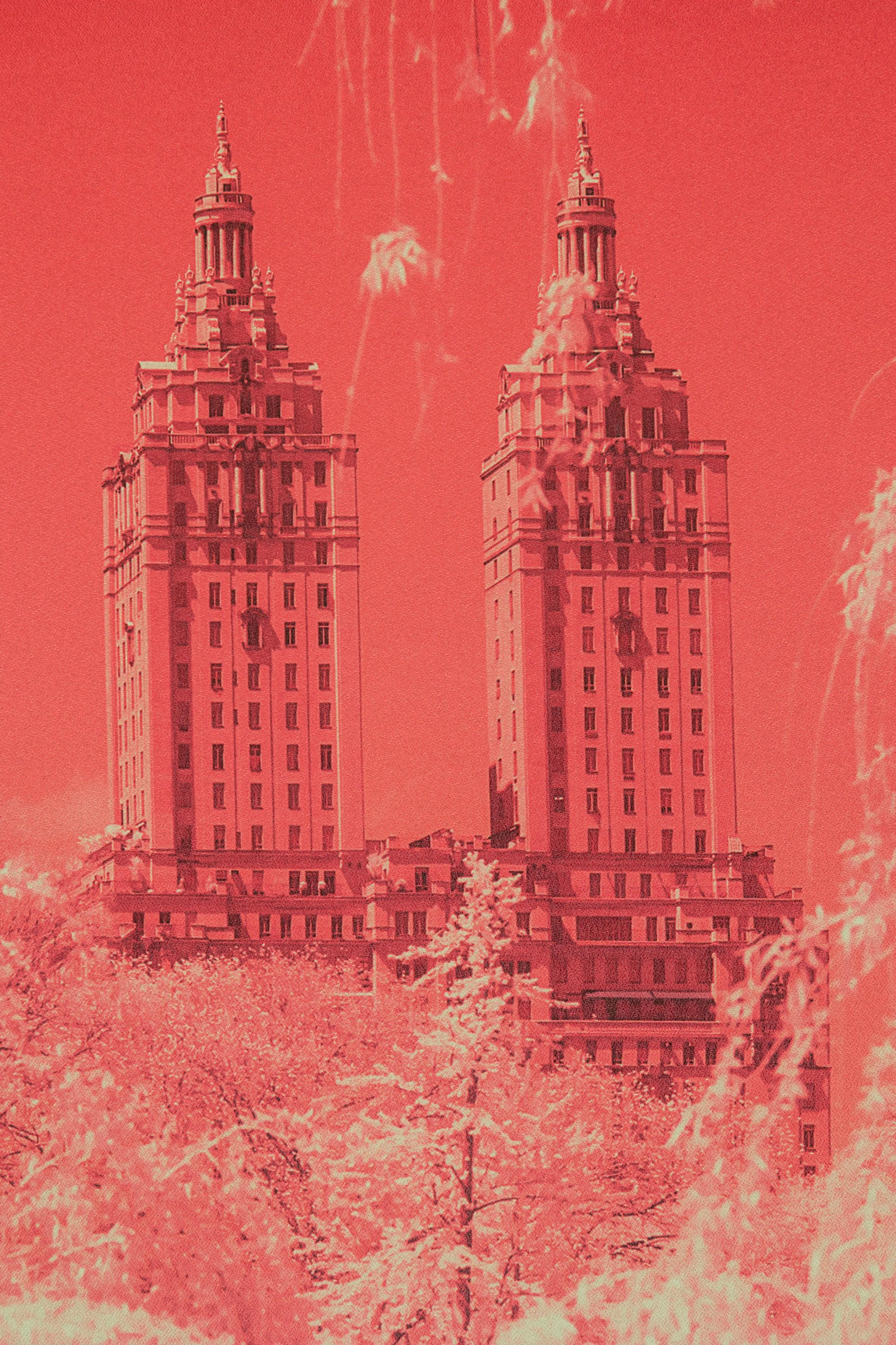 Tristan Govignon „Central Park“ Infrared-Fotografie auf gerahmtem Stoff (amerikanisch) im Angebot