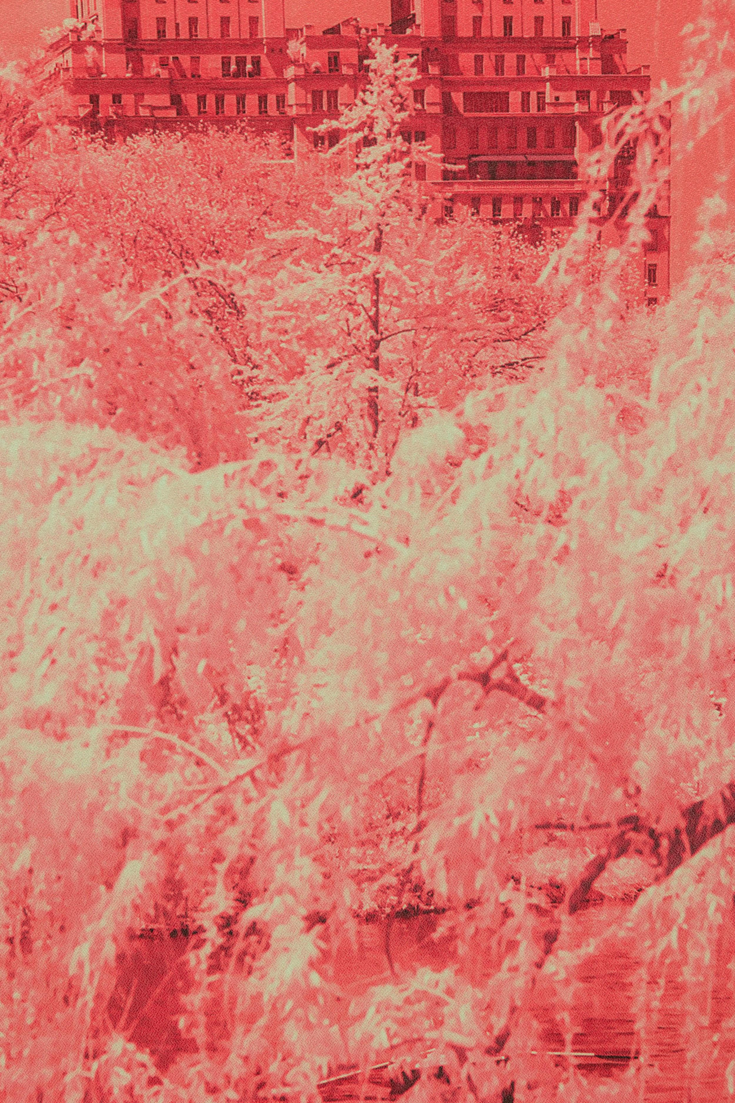 Tristan Govignon „Central Park“ Infrared-Fotografie auf gerahmtem Stoff (Handgefertigt) im Angebot
