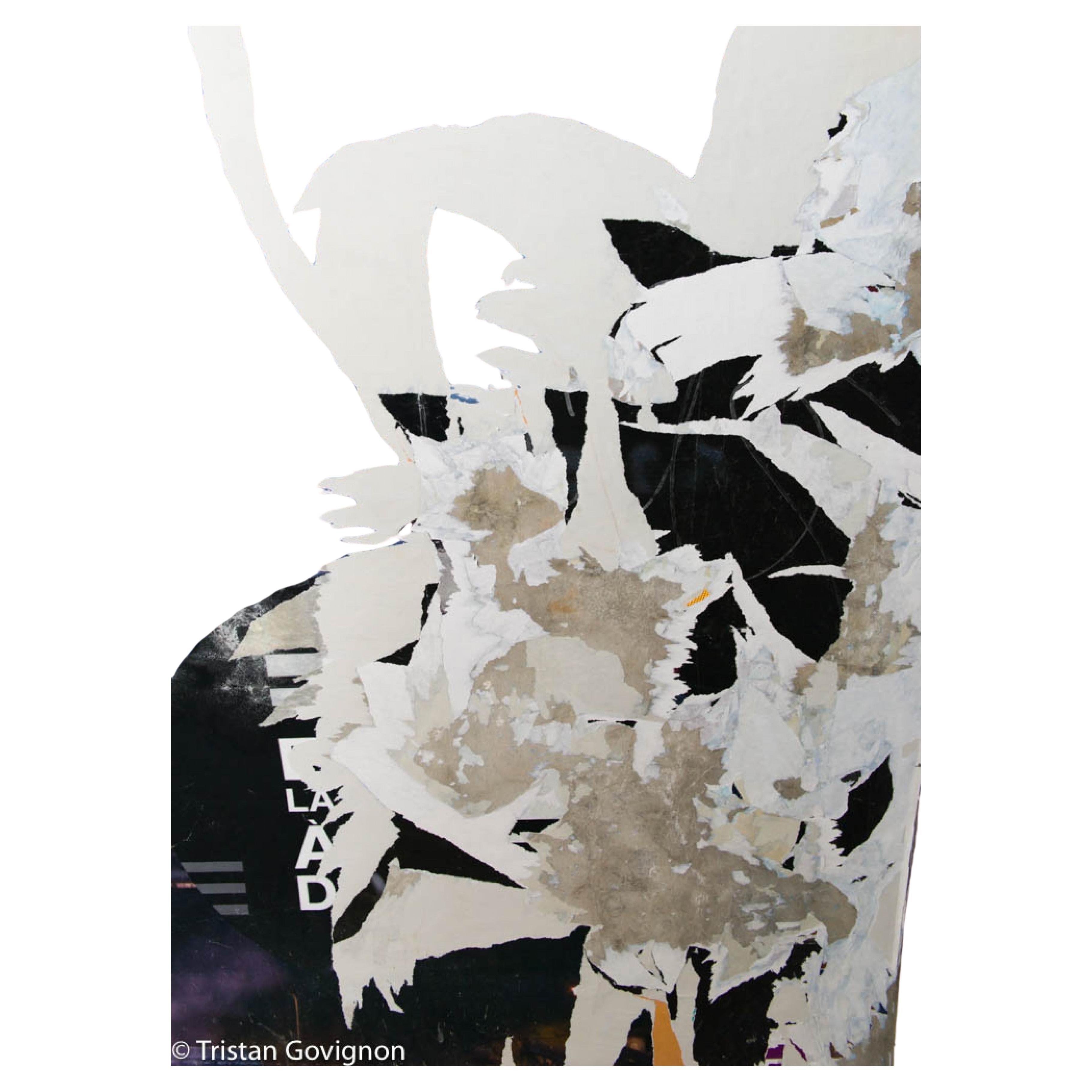 Tristan Govignon "Tiger, Paris" Impression pigmentaire d'art en vente
