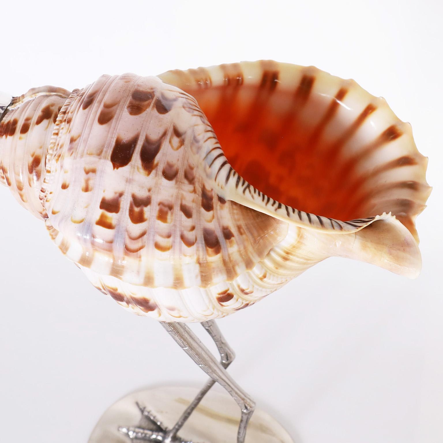 20th Century Triton Shell Bird Sculpture For Sale