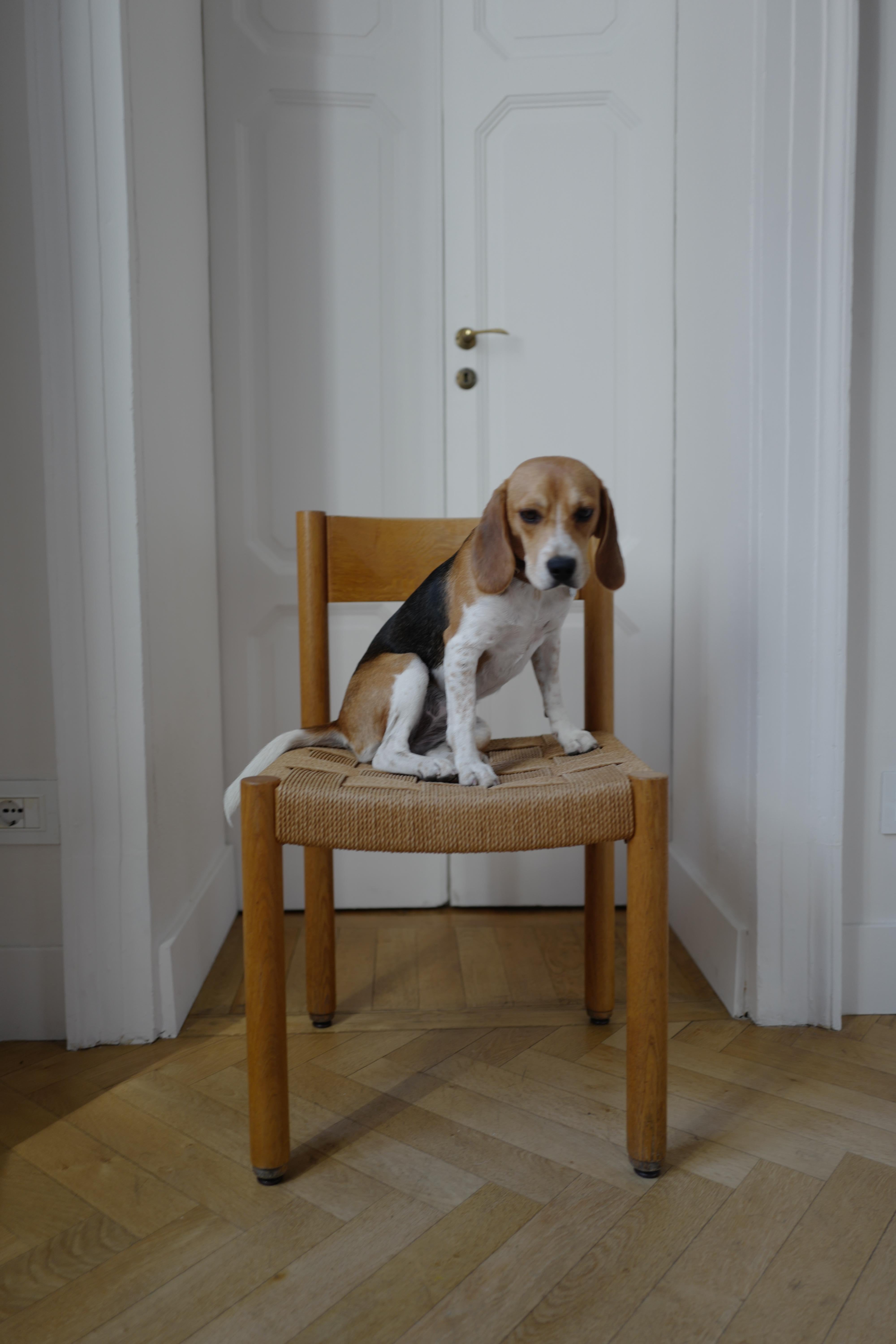 Robert and Trix Haussmann Oak and Rope Dining Chairs Mid century 1963 Set of Six Bon état - En vente à Milano, IT