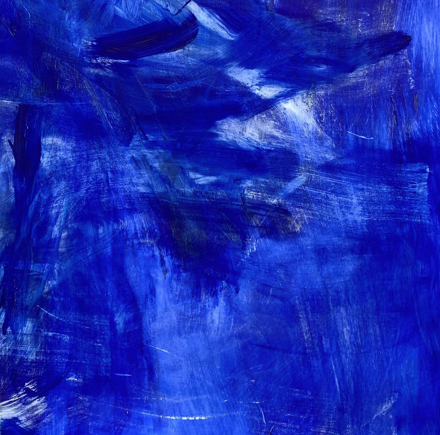 Bar-Tailed Godwit, Kreuzung des Pazifiks, Gemälde, Öl auf Leinwand (Abstrakter Expressionismus), Painting, von Trixie Pitts
