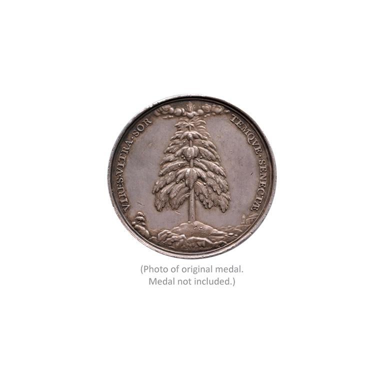 Paper  Trompe l’oeil of silver medal of Dr. Nicolaes Tulp, mayor of Amsterdam For Sale