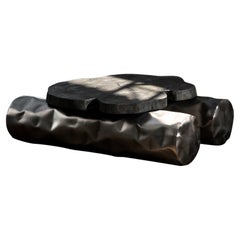 Tronco Coffee Table by NITUSH AROOSH