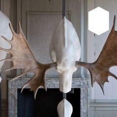 Trophees Defence from Exhibition Tier at Moa by Sinke & Van Tongeren