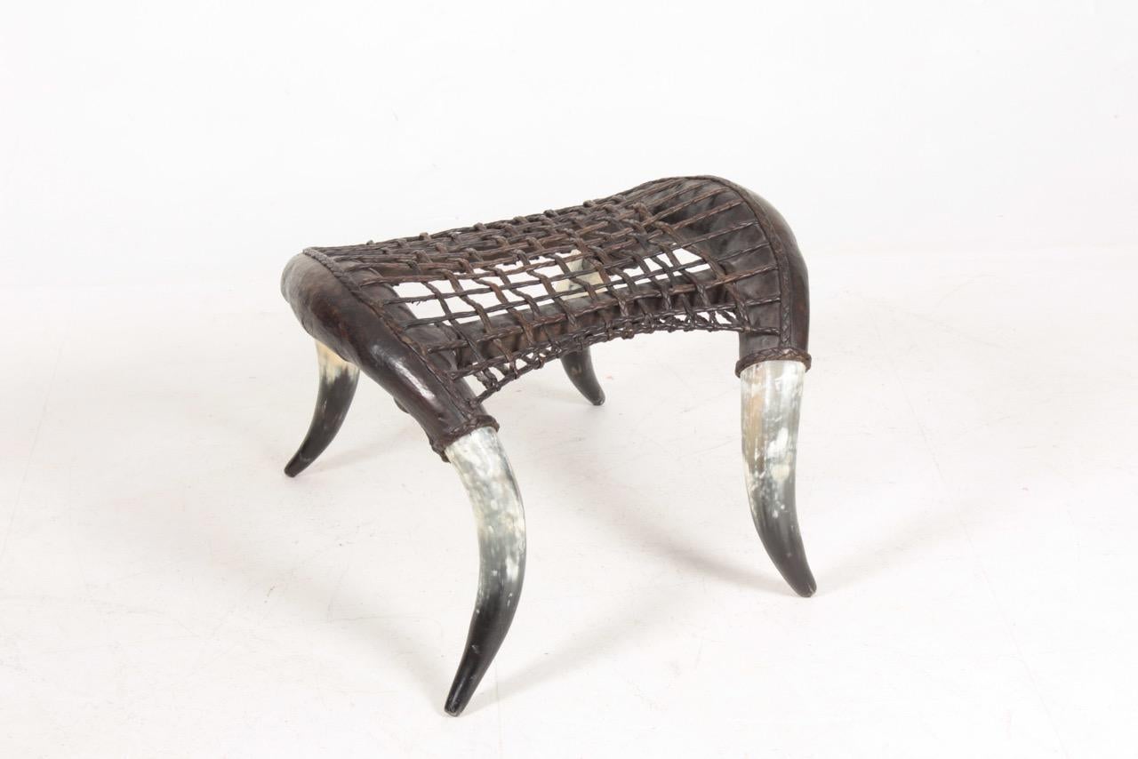 Trophy Bull Horn Chair and Stool with Patinated Leather, 1960s 2