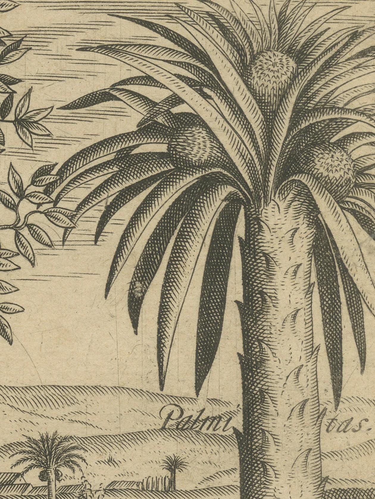17th Century Tropical Abundance: The Jackfruit and Palm Trees in De Bry's 1601 Engraving For Sale