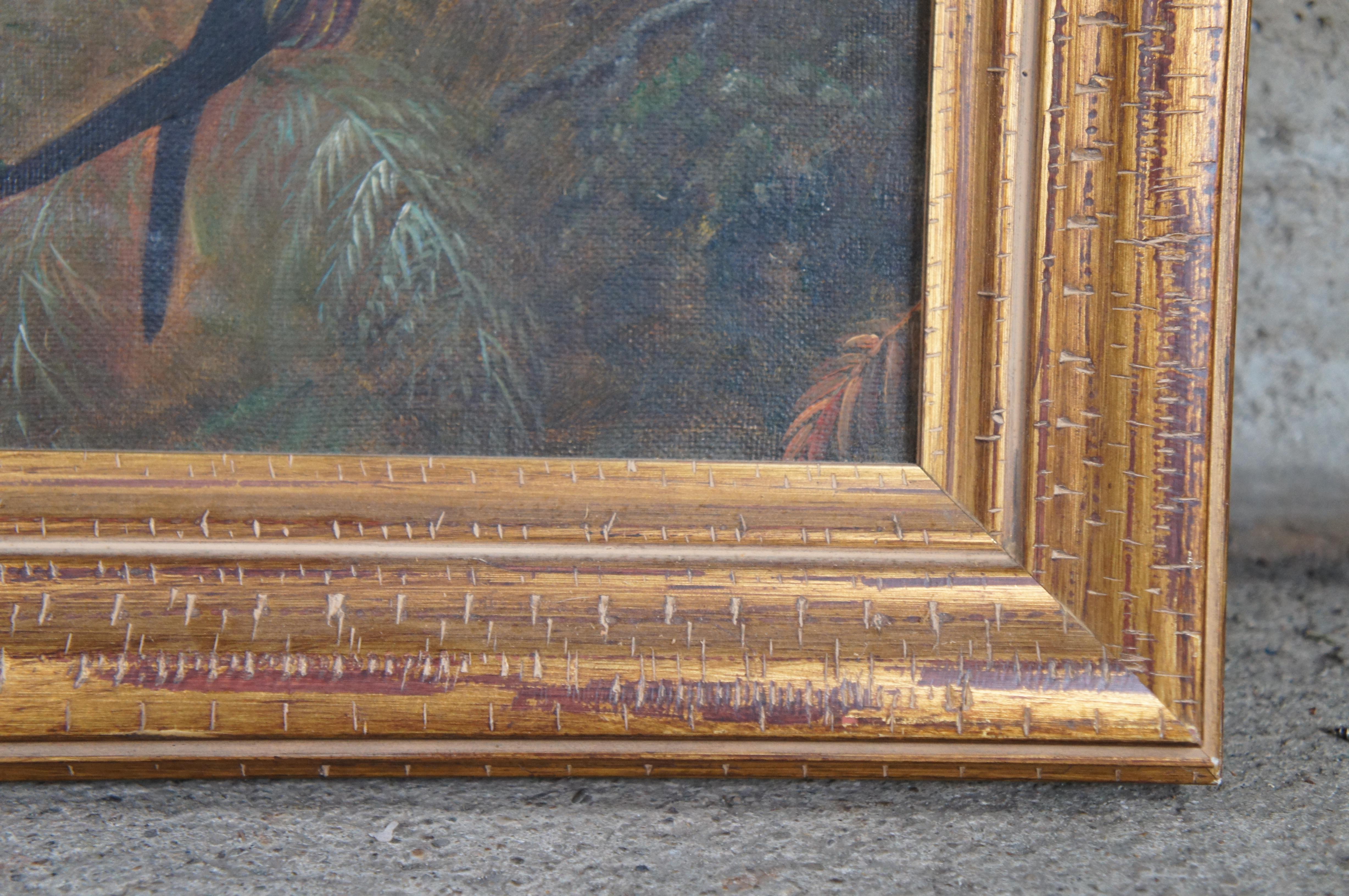 Pájaro tropical Paisaje boscoso Pintura según Martin Johnson Heade Enmarcado 35 en venta 5