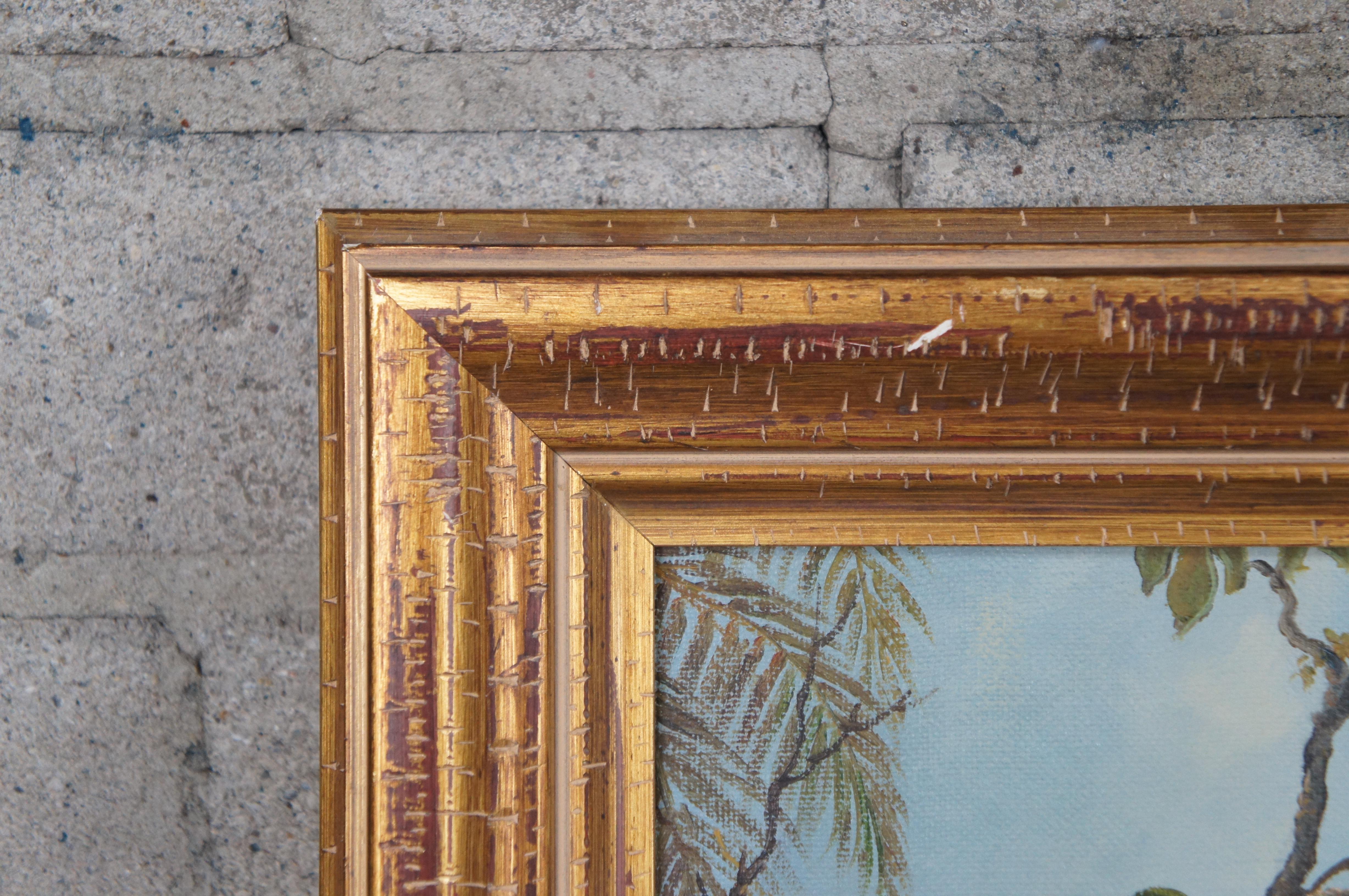 Pájaro tropical Paisaje boscoso Pintura según Martin Johnson Heade Enmarcado 35 Lienzo en venta