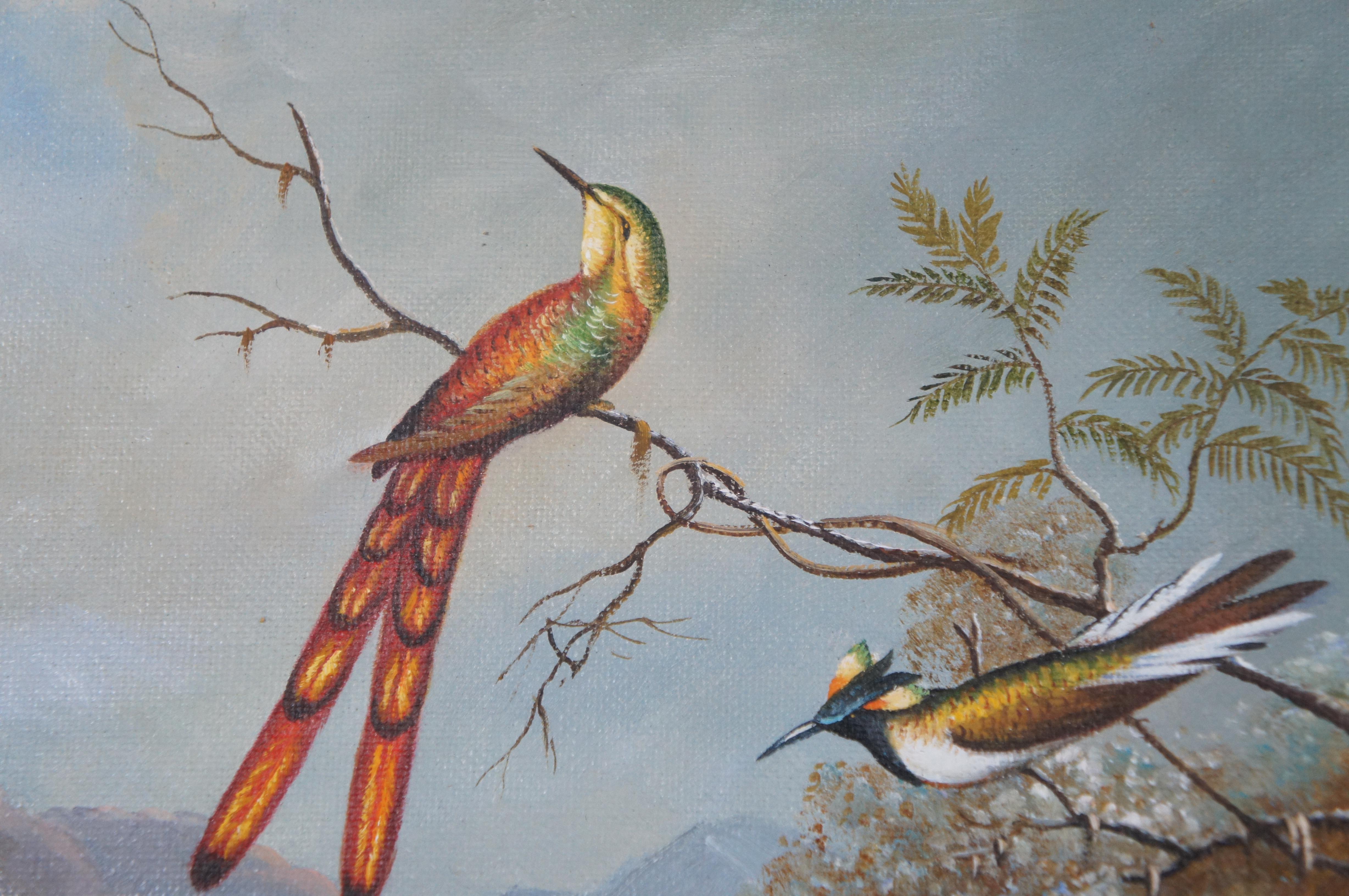 Pájaro tropical Paisaje boscoso Pintura según Martin Johnson Heade Enmarcado 35 en venta 1
