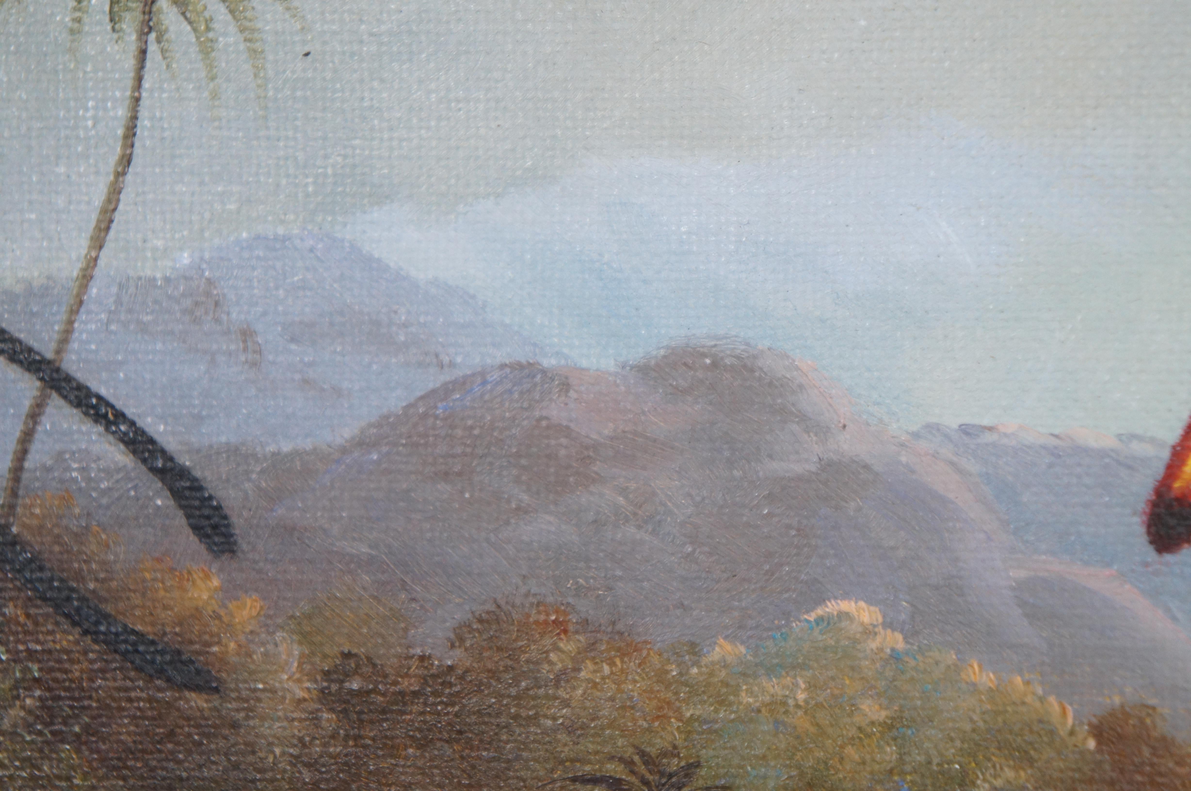 Pájaro tropical Paisaje boscoso Pintura según Martin Johnson Heade Enmarcado 35 en venta 4