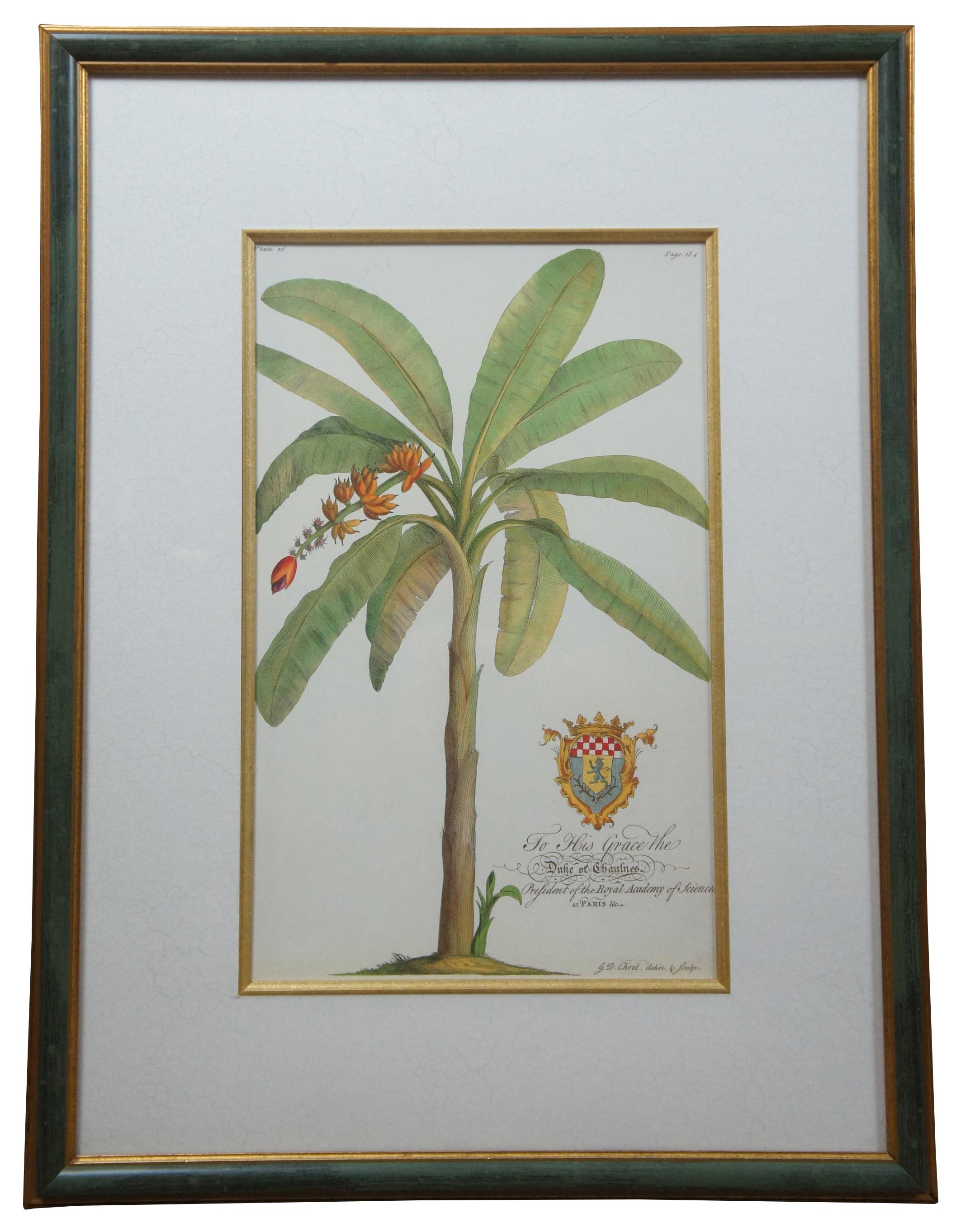 Two fantastic framed botanical prints stemming from Welsh botanist Griffith Hughes' [1707–1758) research publication 