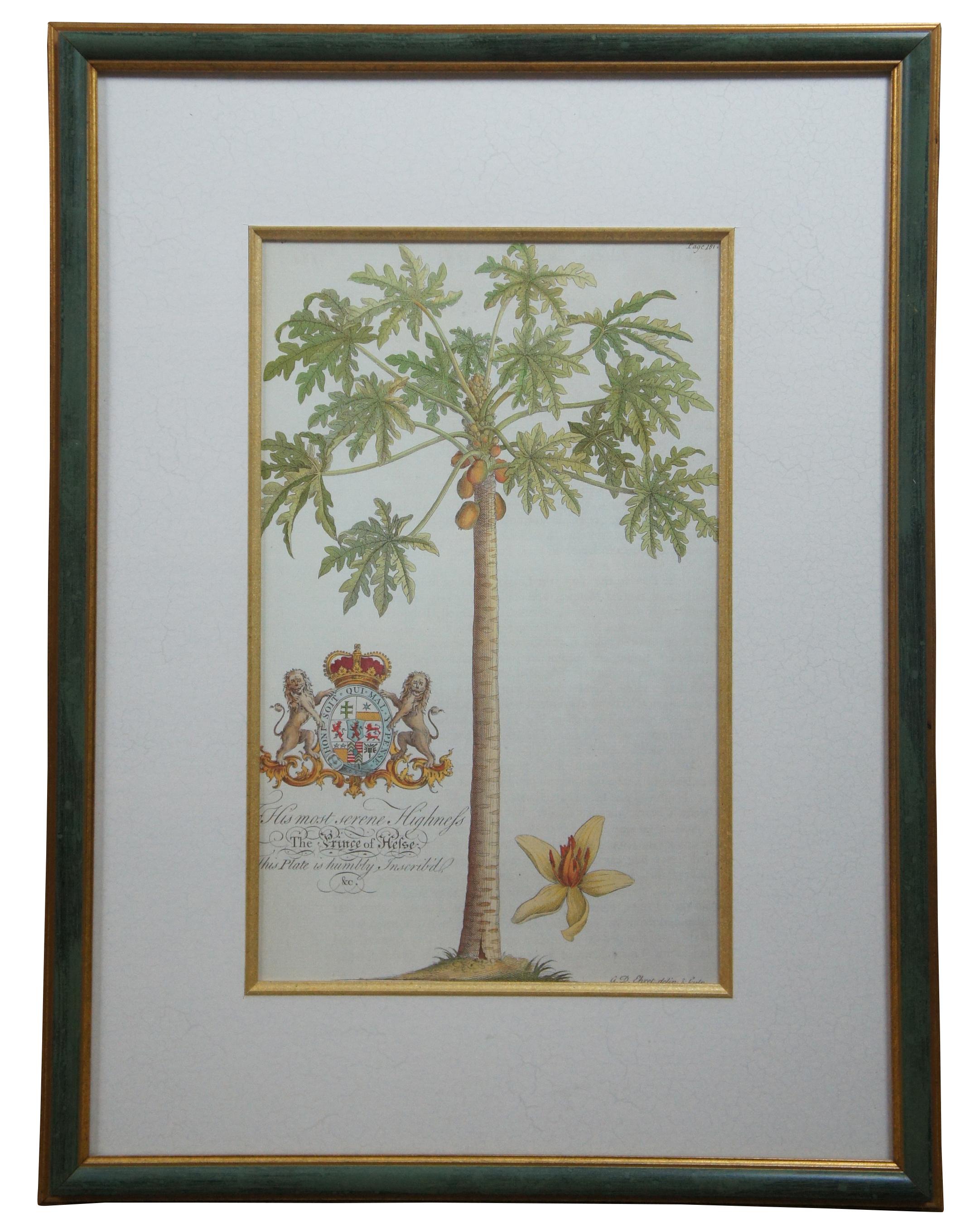 g d ehret prints